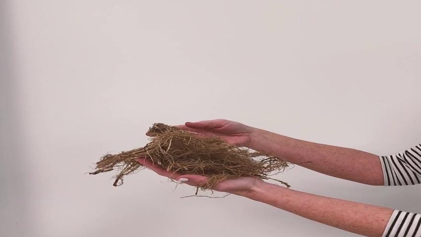 A thumbnail for the video