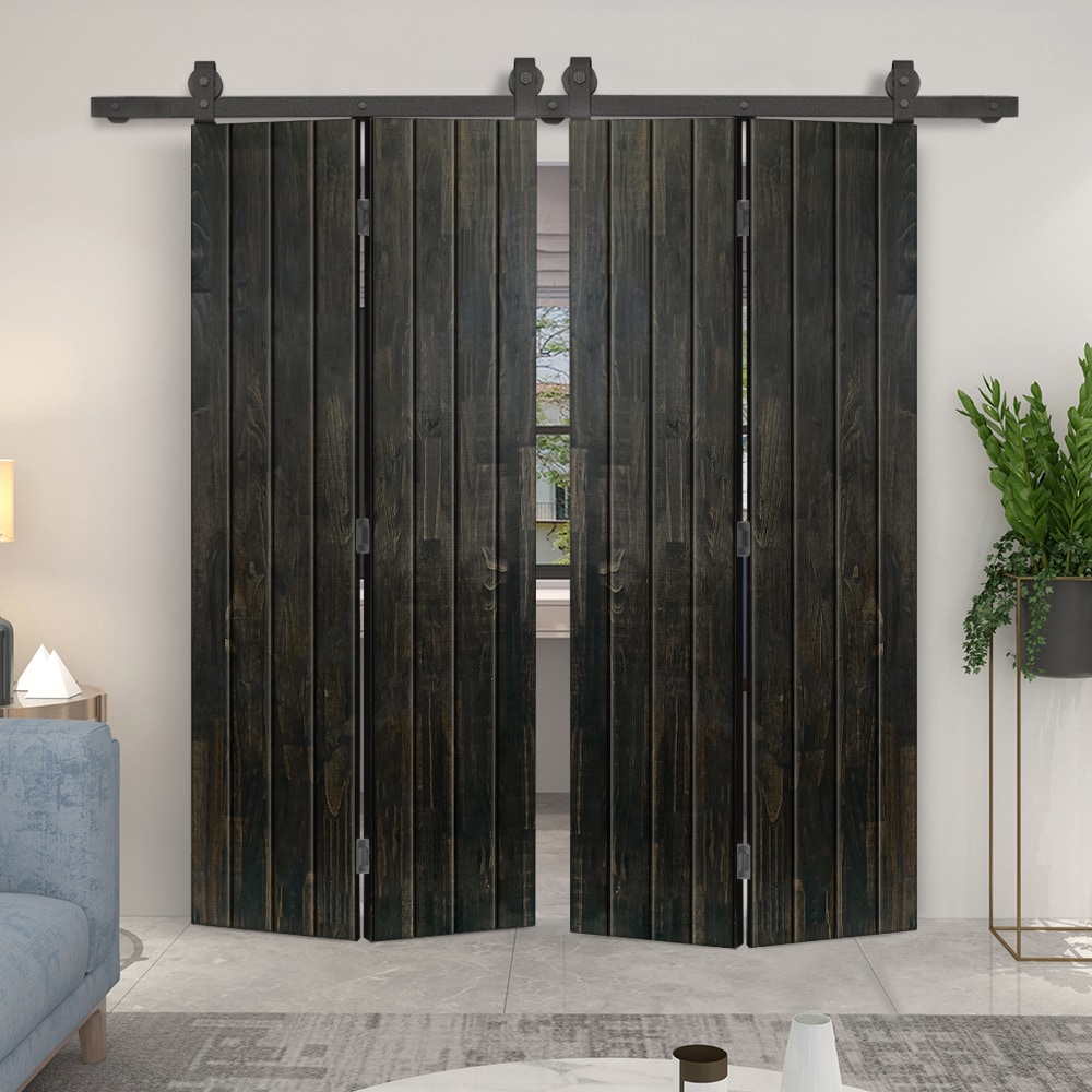 CALHOME 1602T+FV08-80X28DT(2 Barn-Doors - View #2