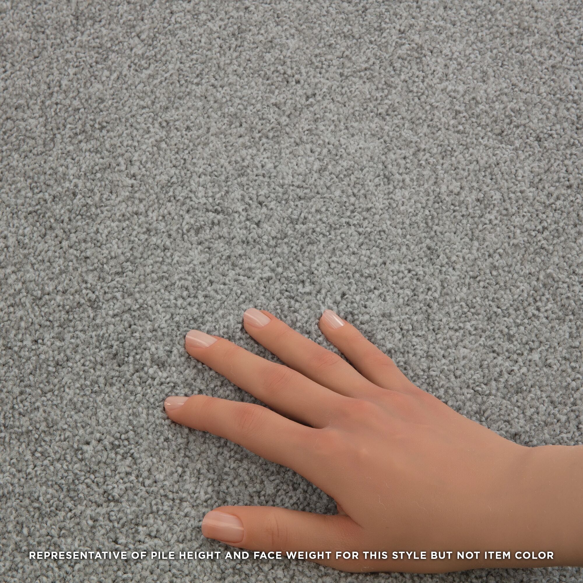 STAINMASTER PetProtect 7L90600153 Carpet-Panel - View #5