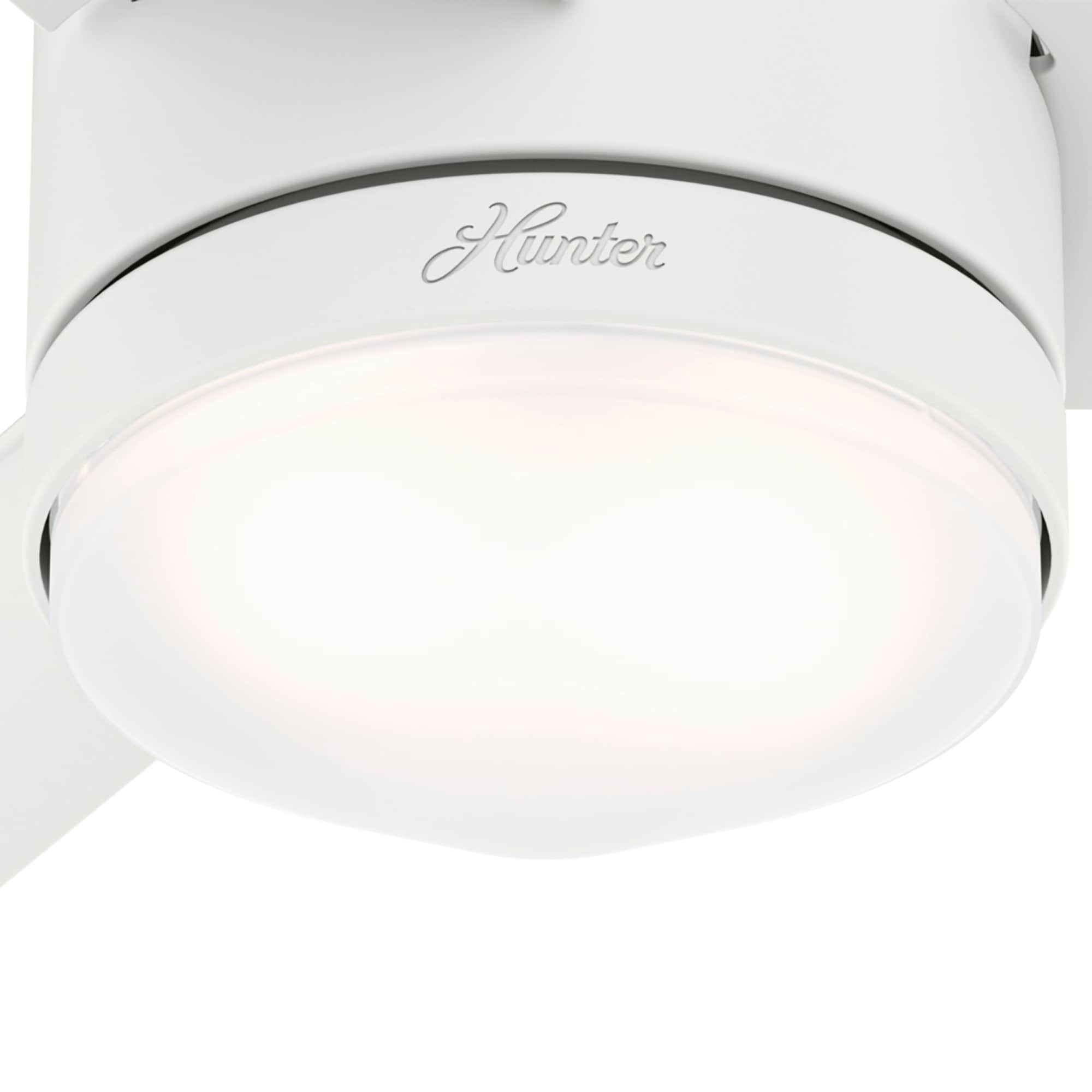 Hunter 50022 Ceiling-Fans - View #12