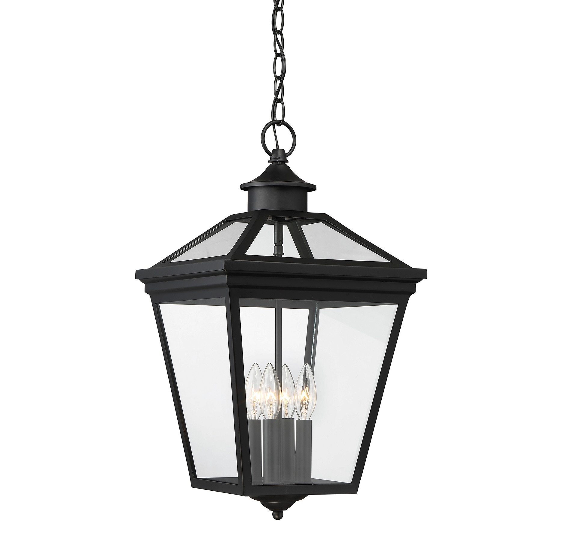 Black and Clear Glass 4-Light Outdoor Hanging Lantern