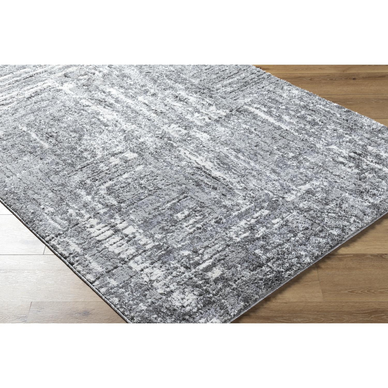Livabliss ARP2304-71010 rugs - View #4