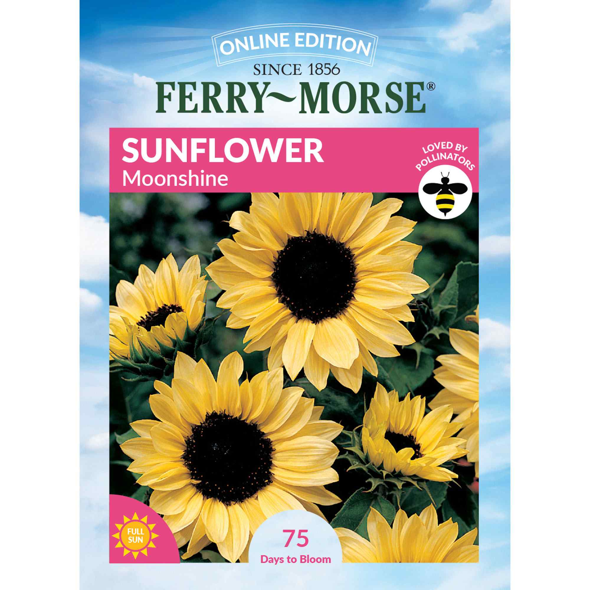 Ferry-Morse LC25.2775 Sunflower Seeds 1.4 Gram(s)