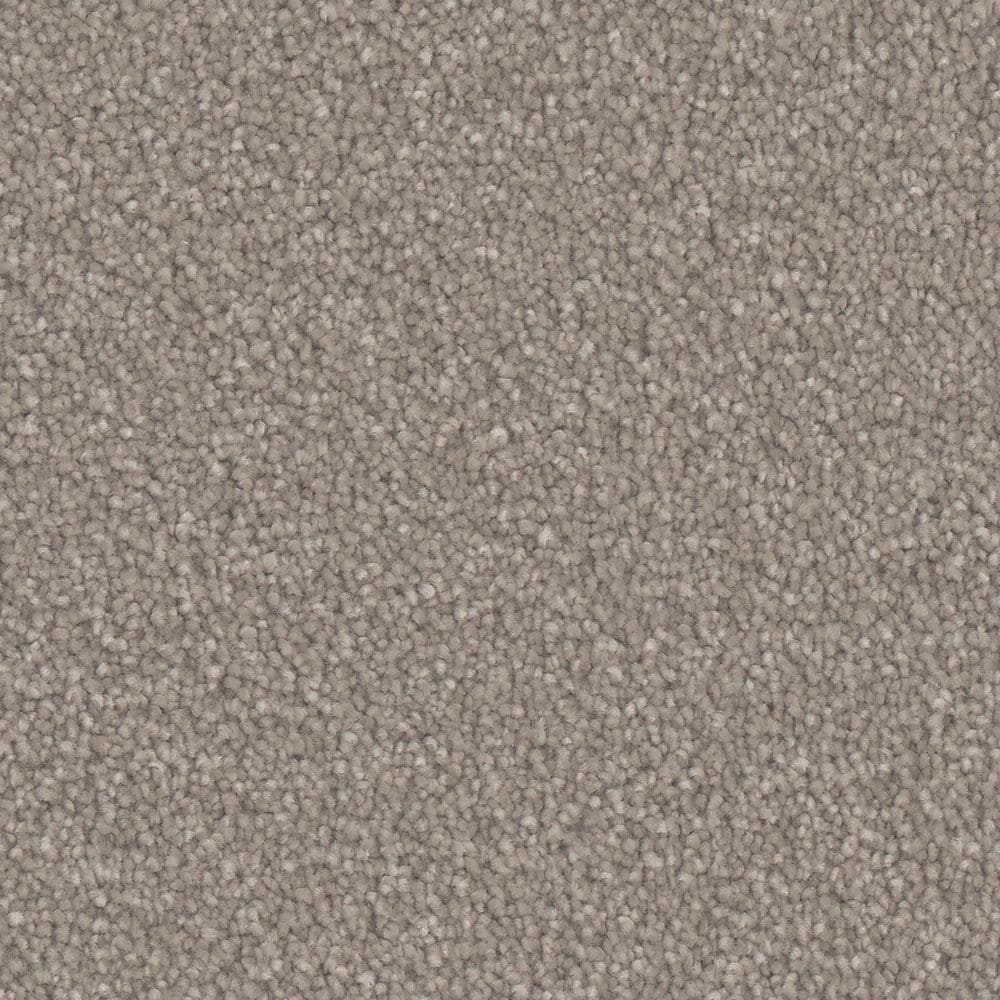 STAINMASTER S9840-10006-S (Sample) Chintz Brown 40-oz sq yard Polyester Textured Indoor Carpet