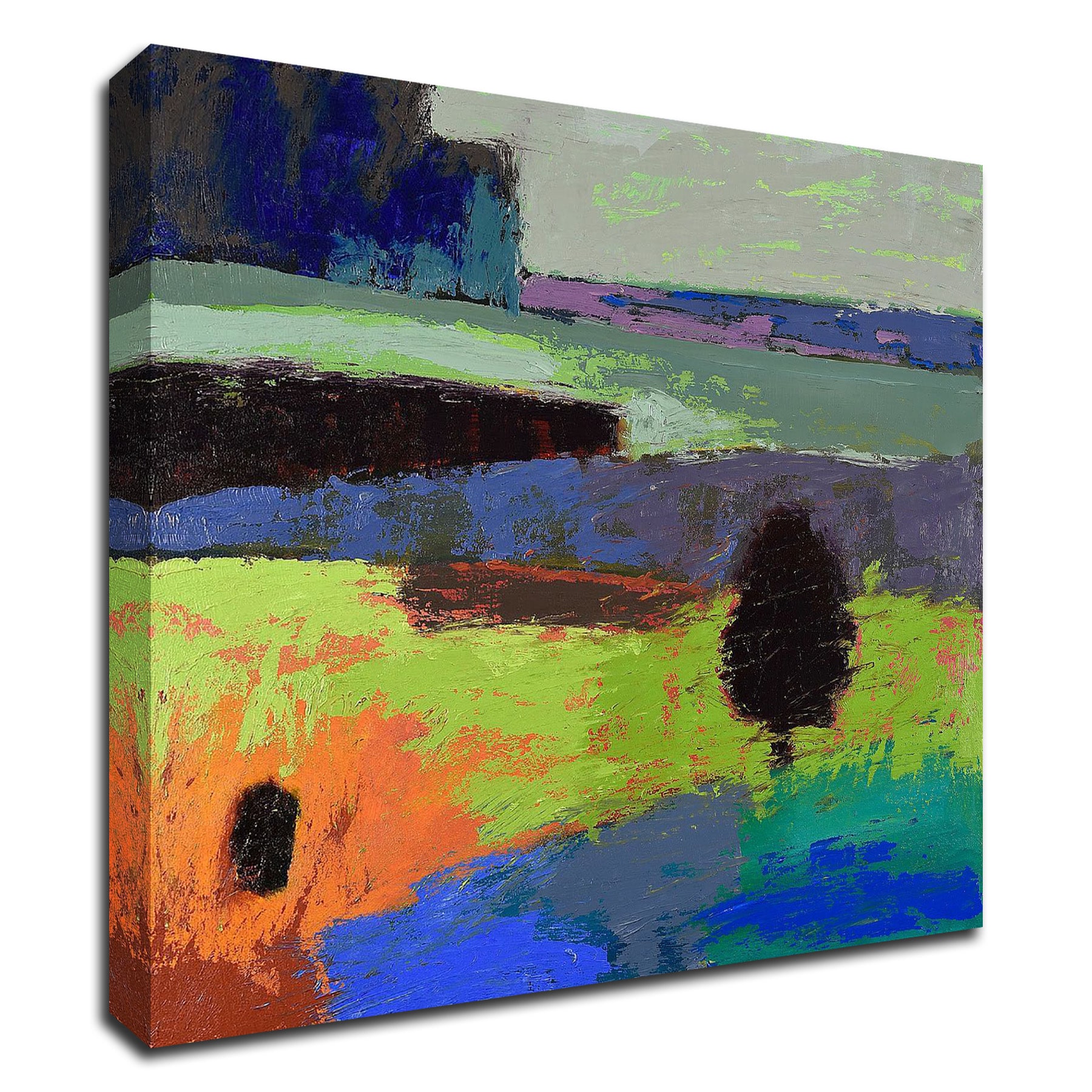 Tangletown Fine Art 8S1500DC-2424 From What I Know Jane Schmidt 24-in H x 24-in W Landscape Print on Canvas