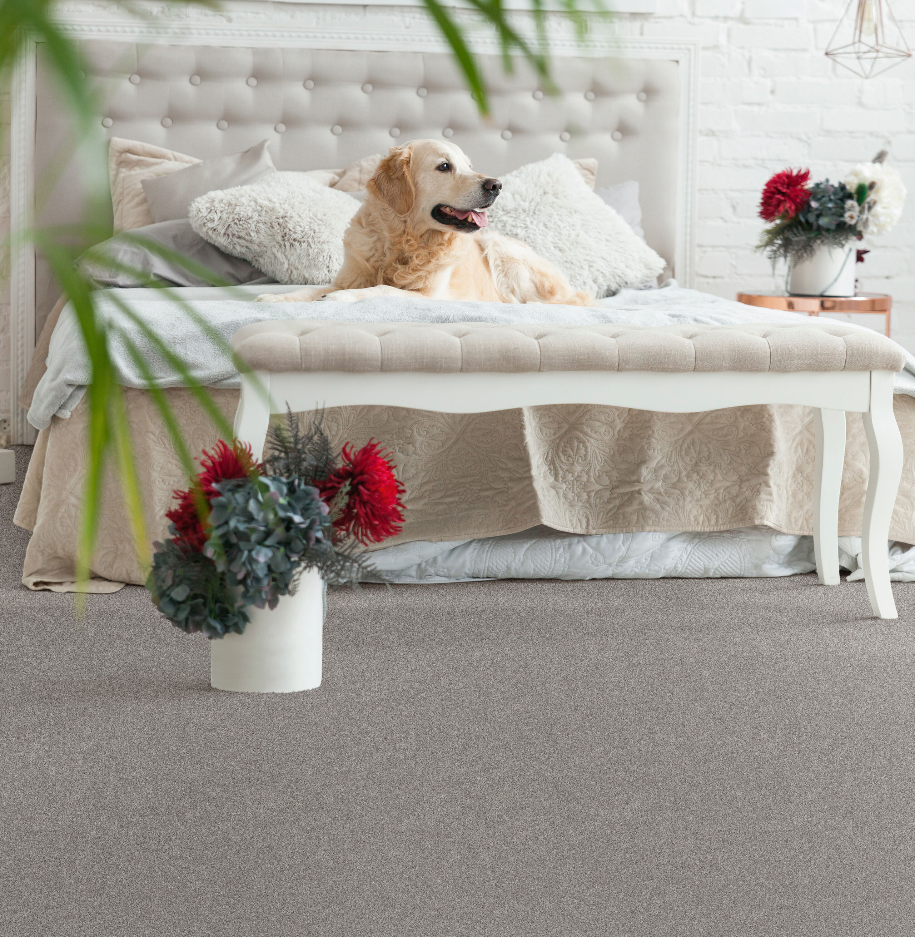 STAINMASTER PetProtect 7L90600504 Carpet-Panel - View #4