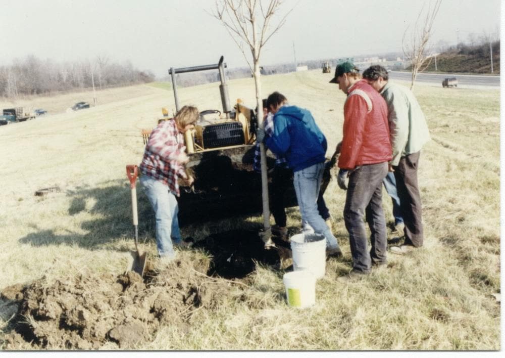 Soil Moist JCD-05SMP Soil-Conditioner - View #6