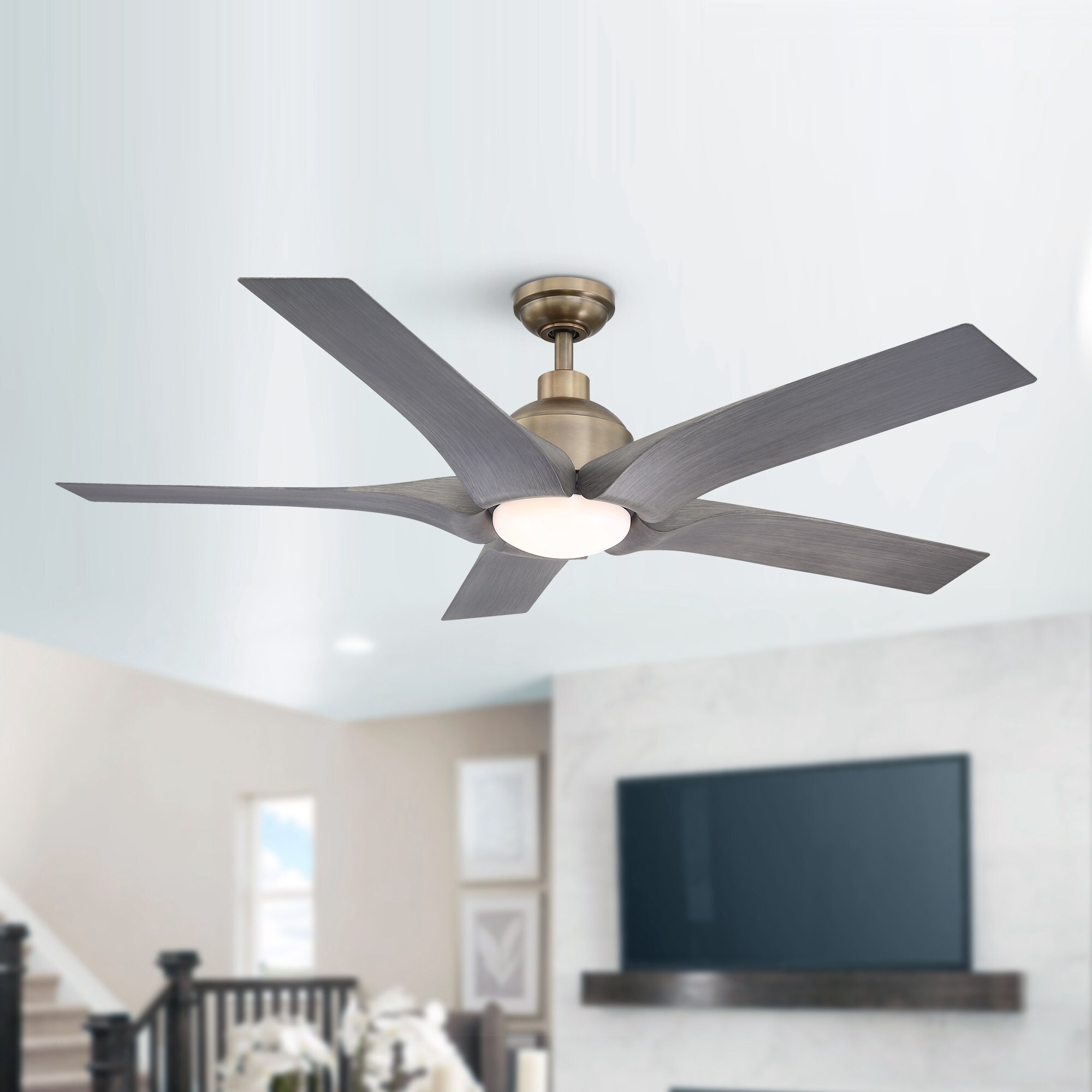 Parrot Uncle 56-in Bronze Integrated LED Indoor Ceiling Fan with Light ...