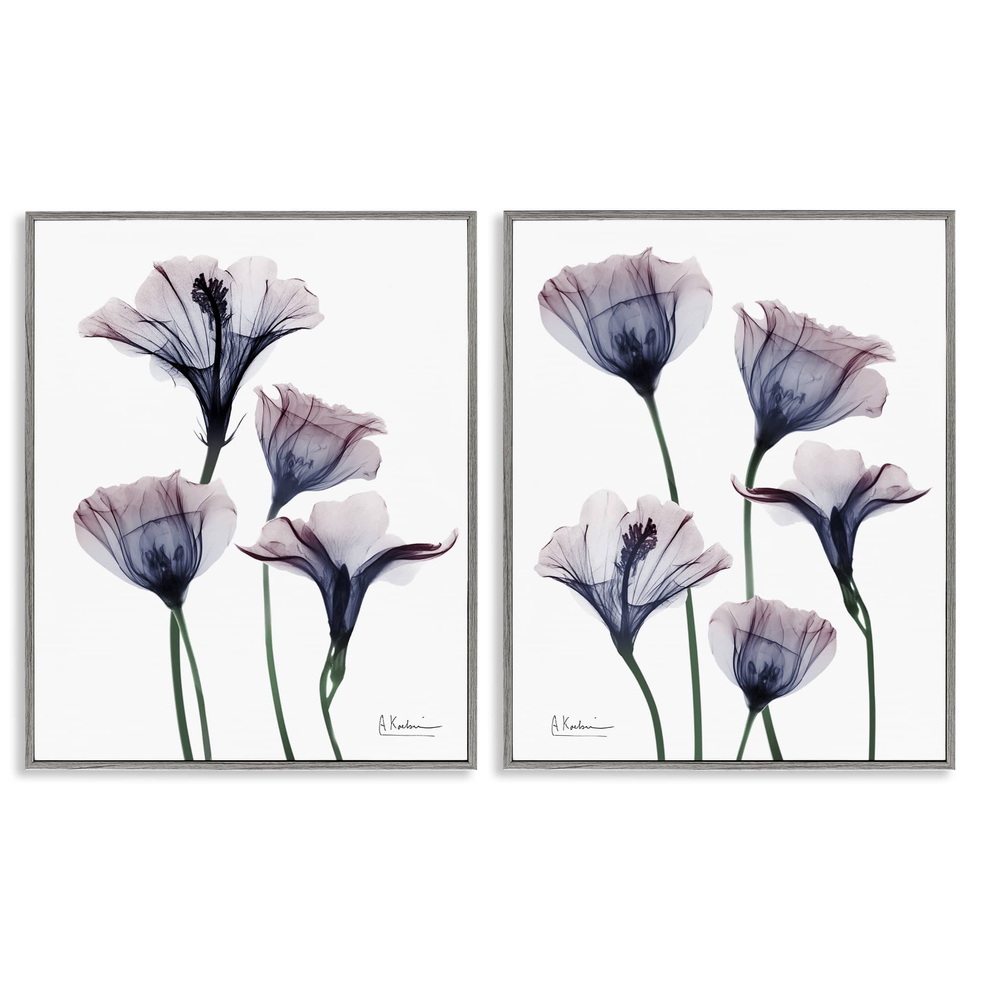 Stupell Industries B2-702-GFF-2PC-16X20 Bountiful Dusk Lilies 2pc Framed Giclee Set Design by Albert Koetsier