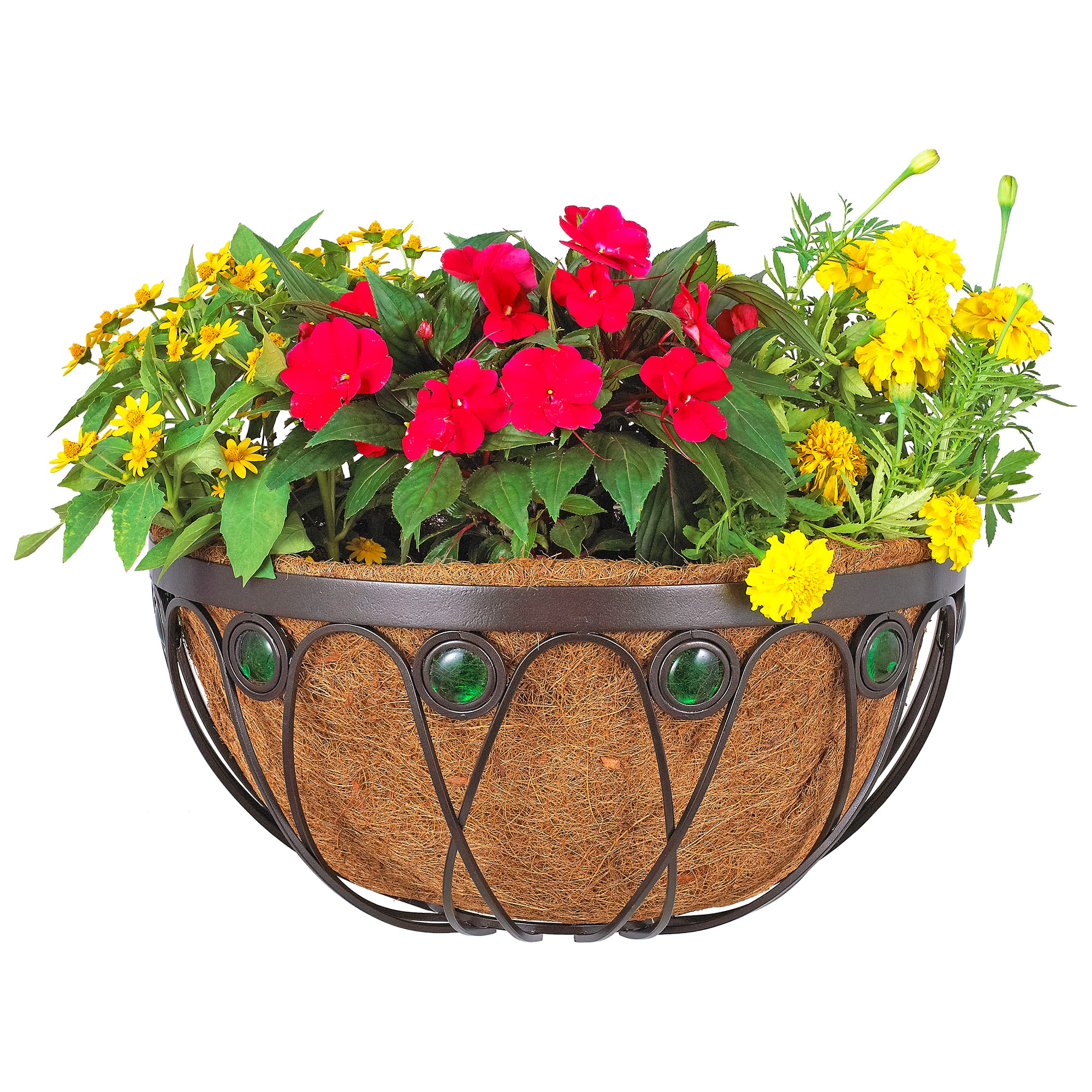 Arcadia Garden Products CB05 10.0-in W x 10-in H x Black Metal Indoor/Outdoor Planter