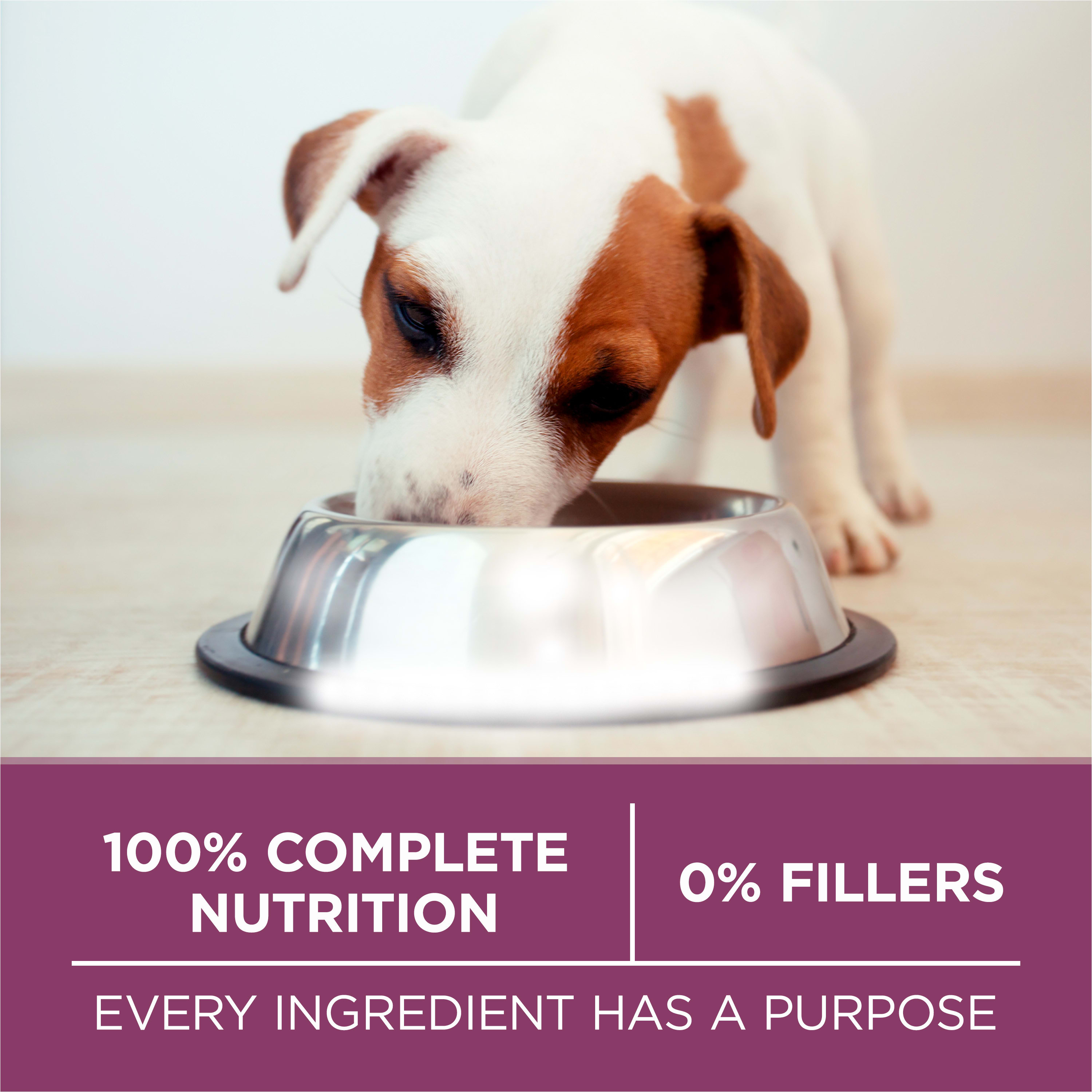 Purina ONE 001780014935 Wet-Dog-Food - View #7