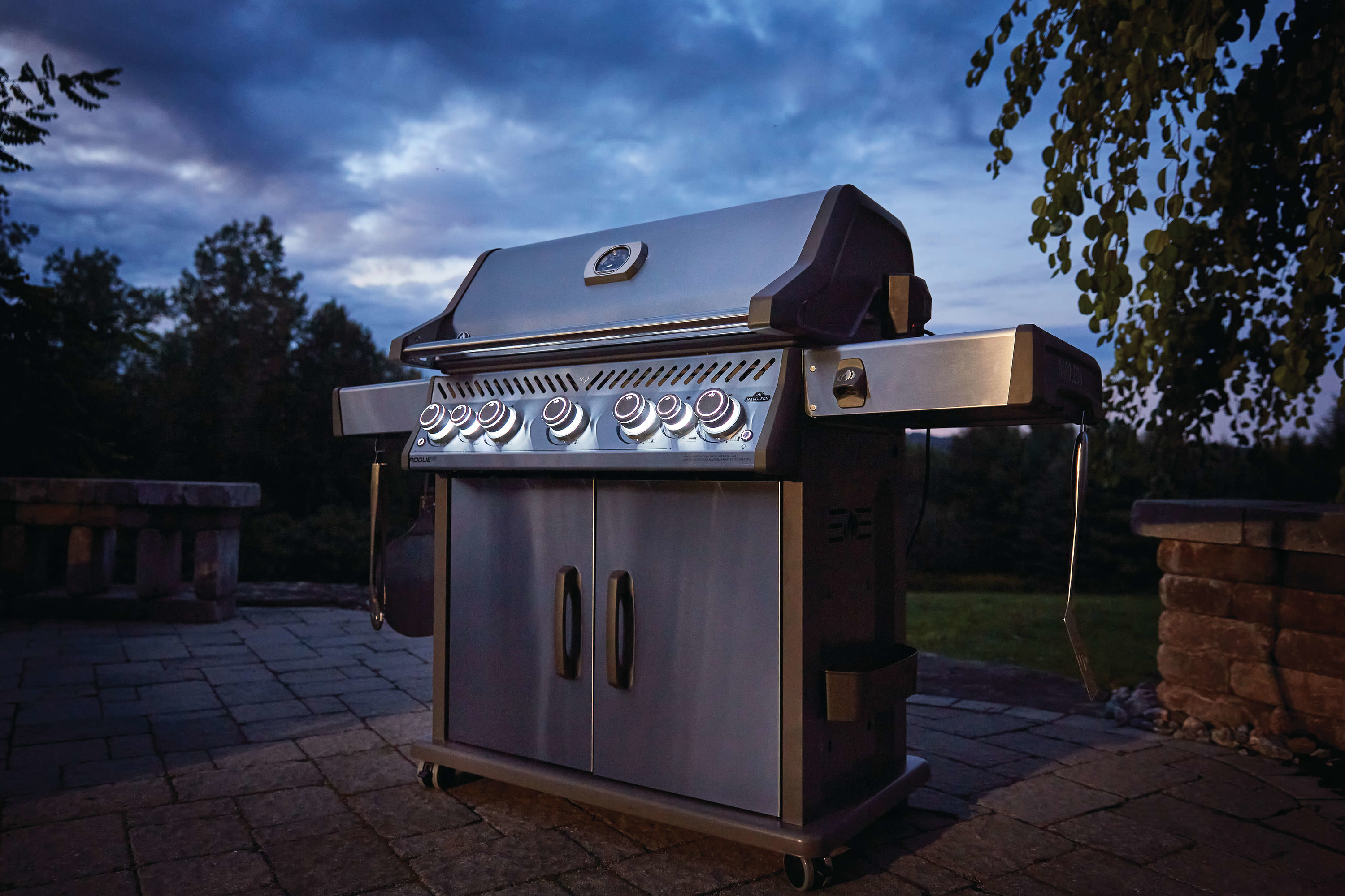 NAPOLEON RSE625RSIBNSS-1 Gas-Grill - View #10