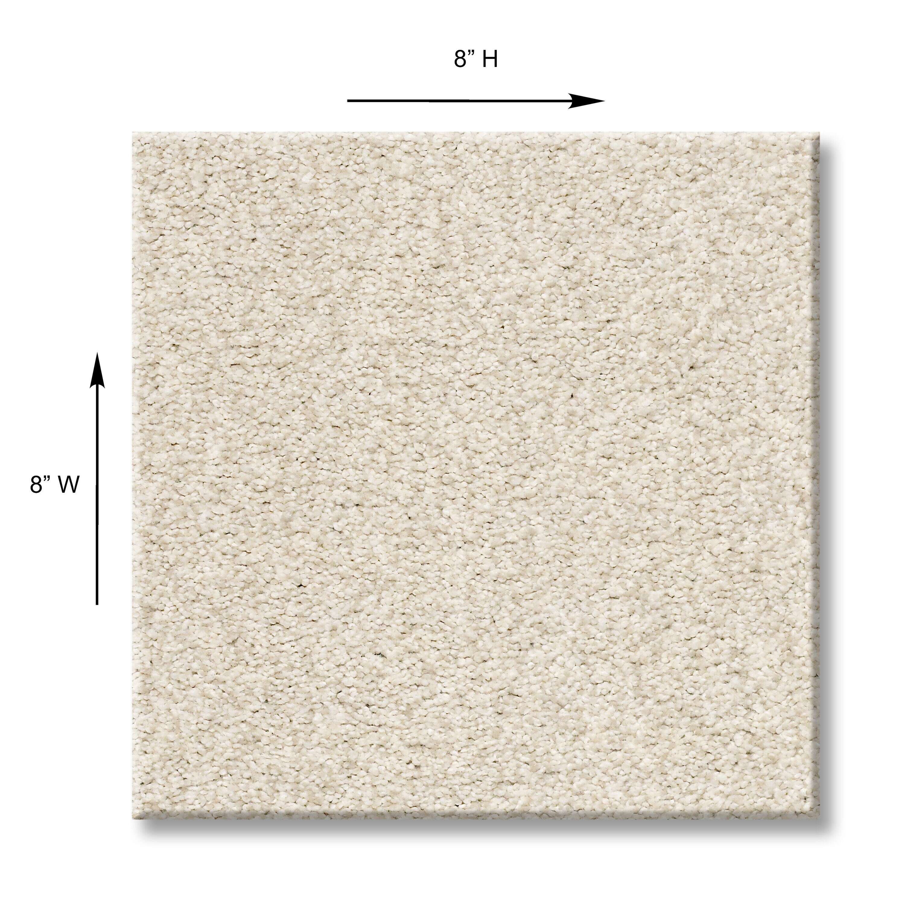 STAINMASTER 7L798-121T-SAMP Carpet-Samples - View #5
