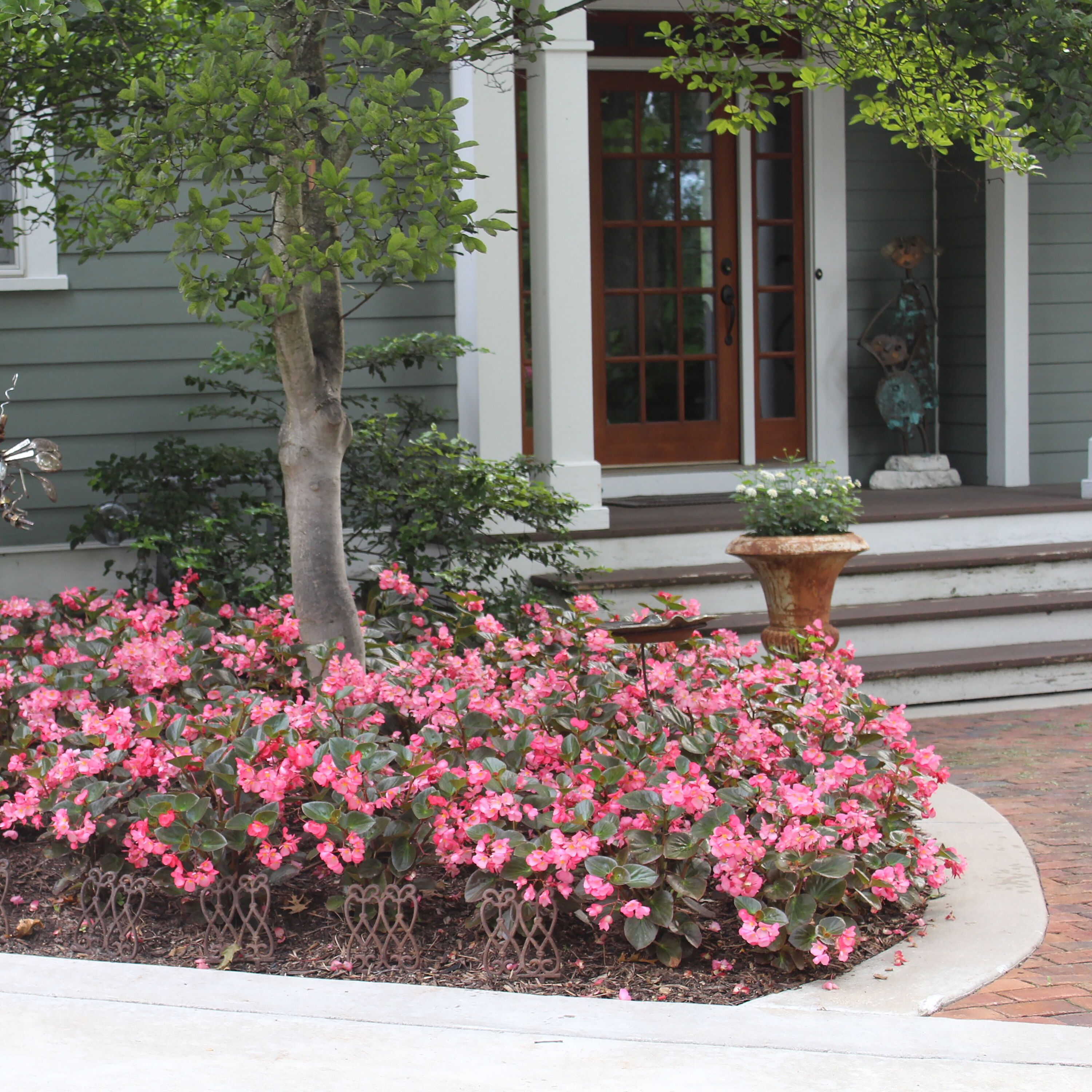 Proven Winners BETPRW0047504 perennials - View #2