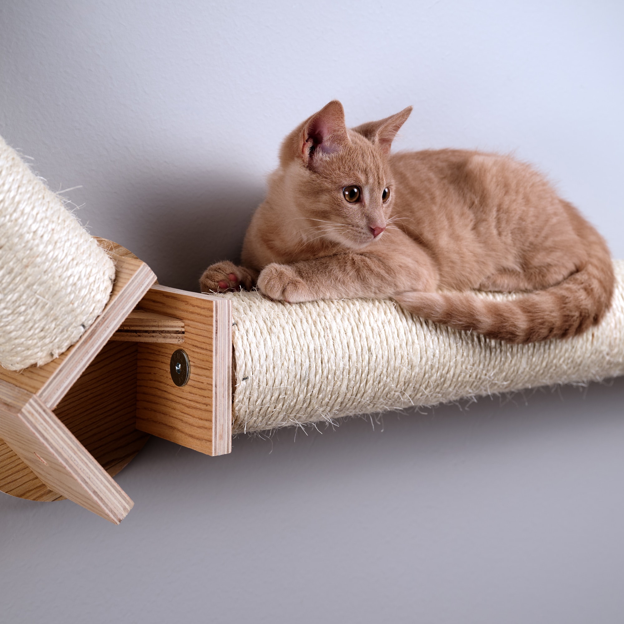 Armarkat W2307 Cat-Trees - View #4