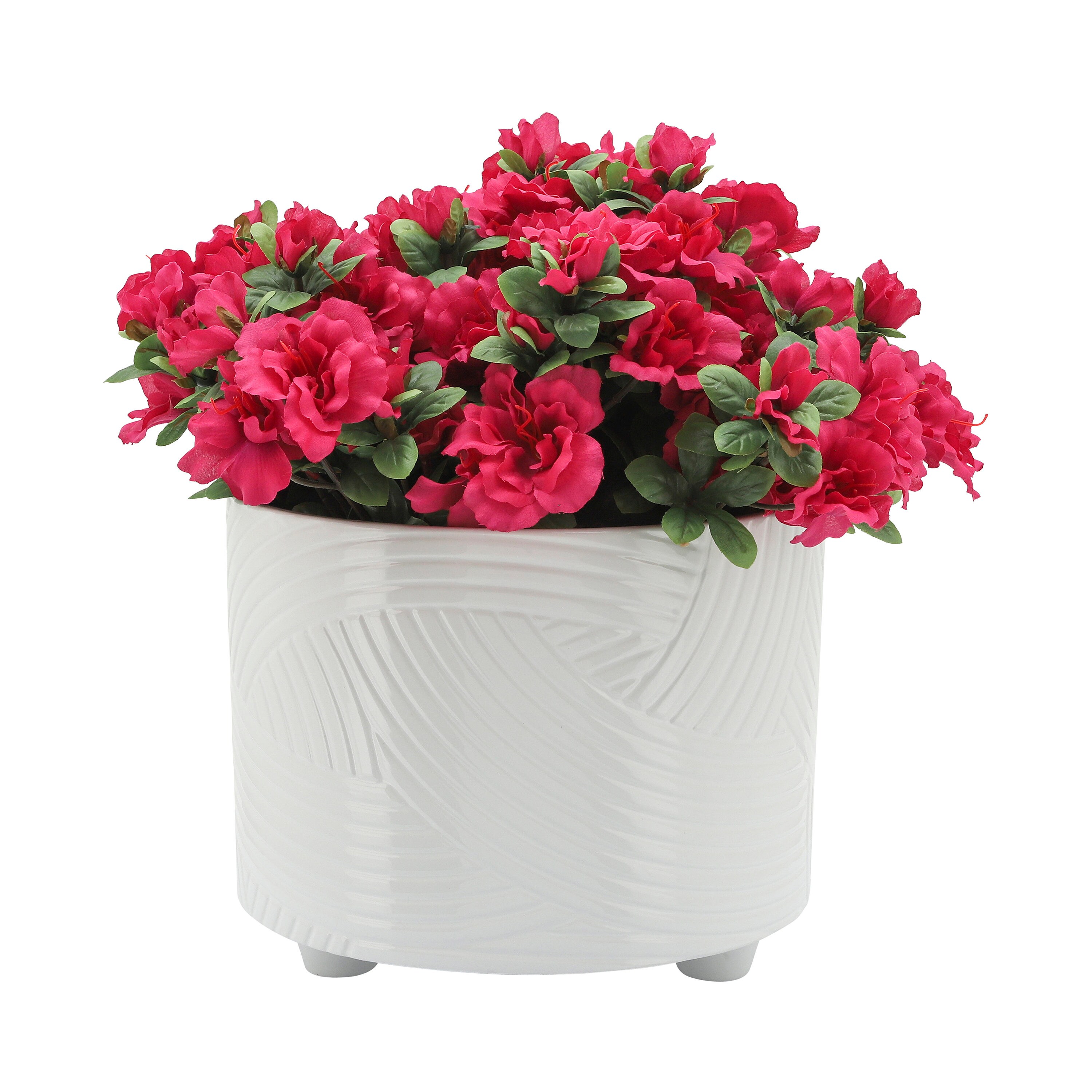 Sagebrook Home 15914-04 Planter-Window-Box - View #5