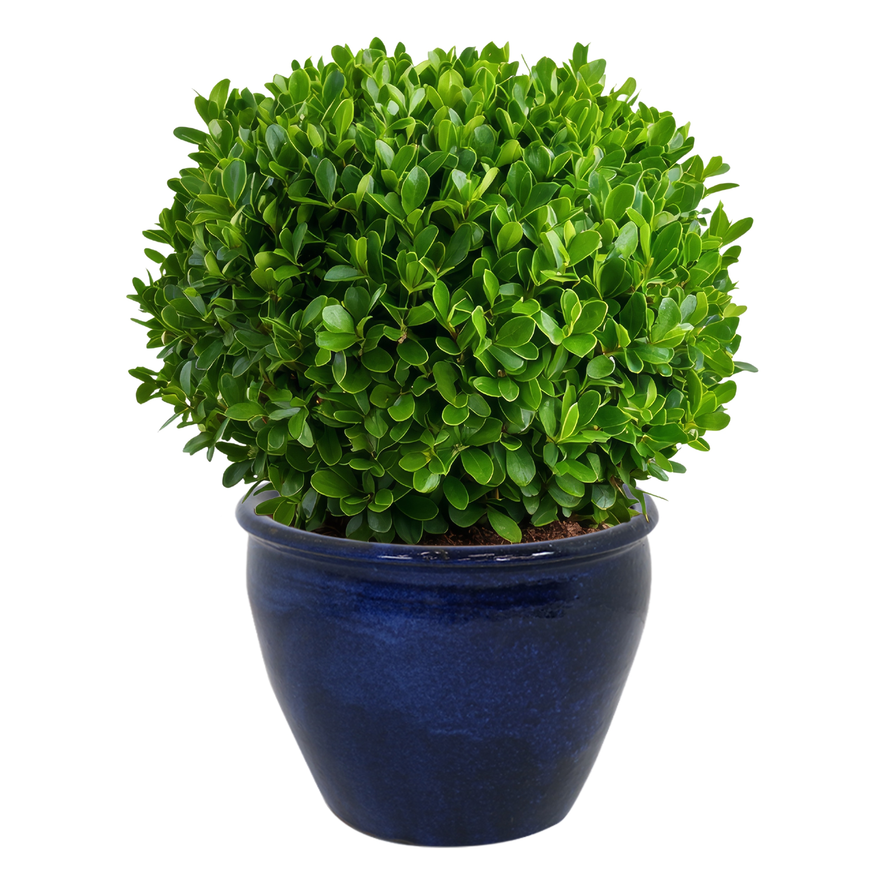 Sunnydaze Decor AP-827 Planter-Window-Box - View #9