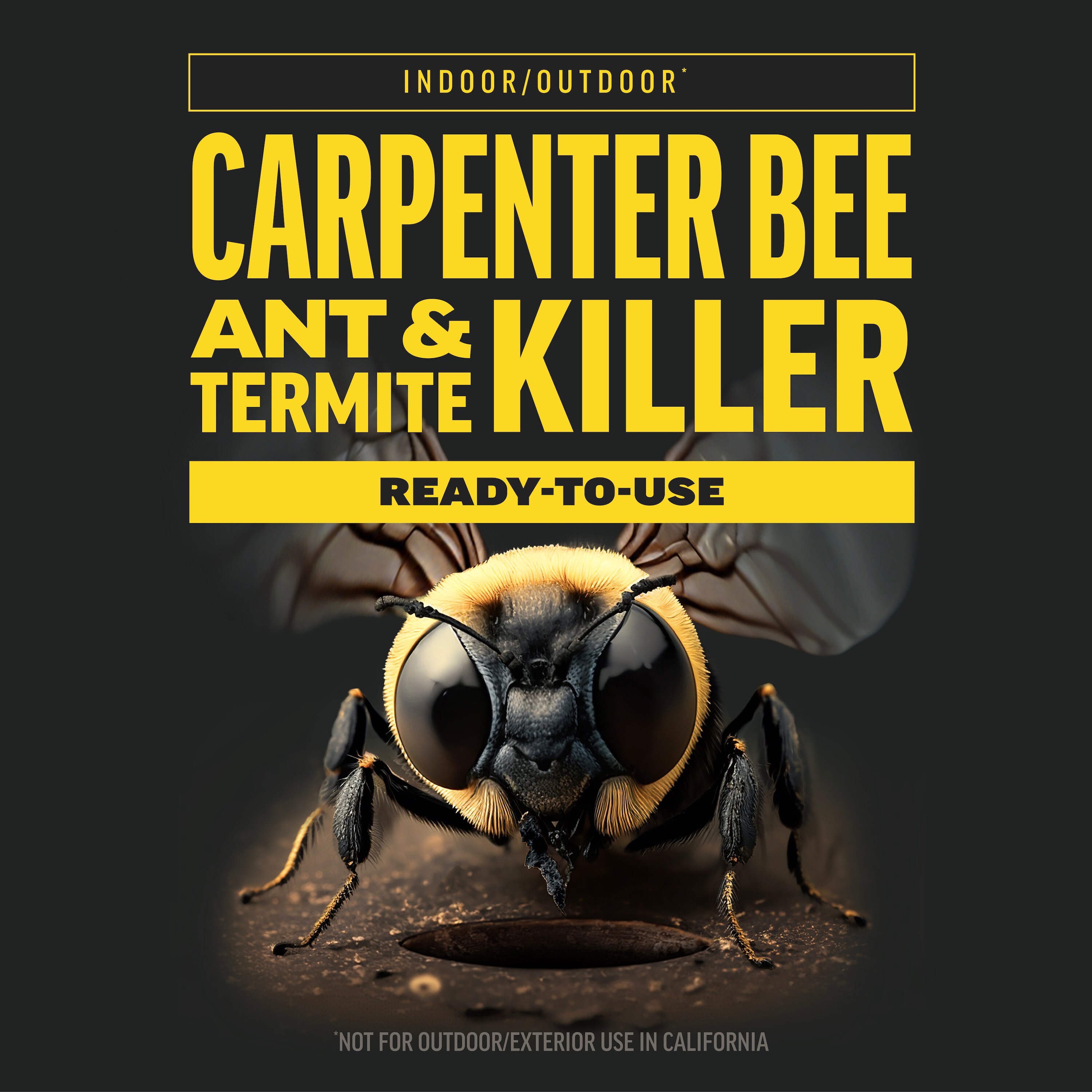 AMDRO 1-Gallon Quick Kill Carpenter Bee, Ant and Termite Killer Trigger Spray