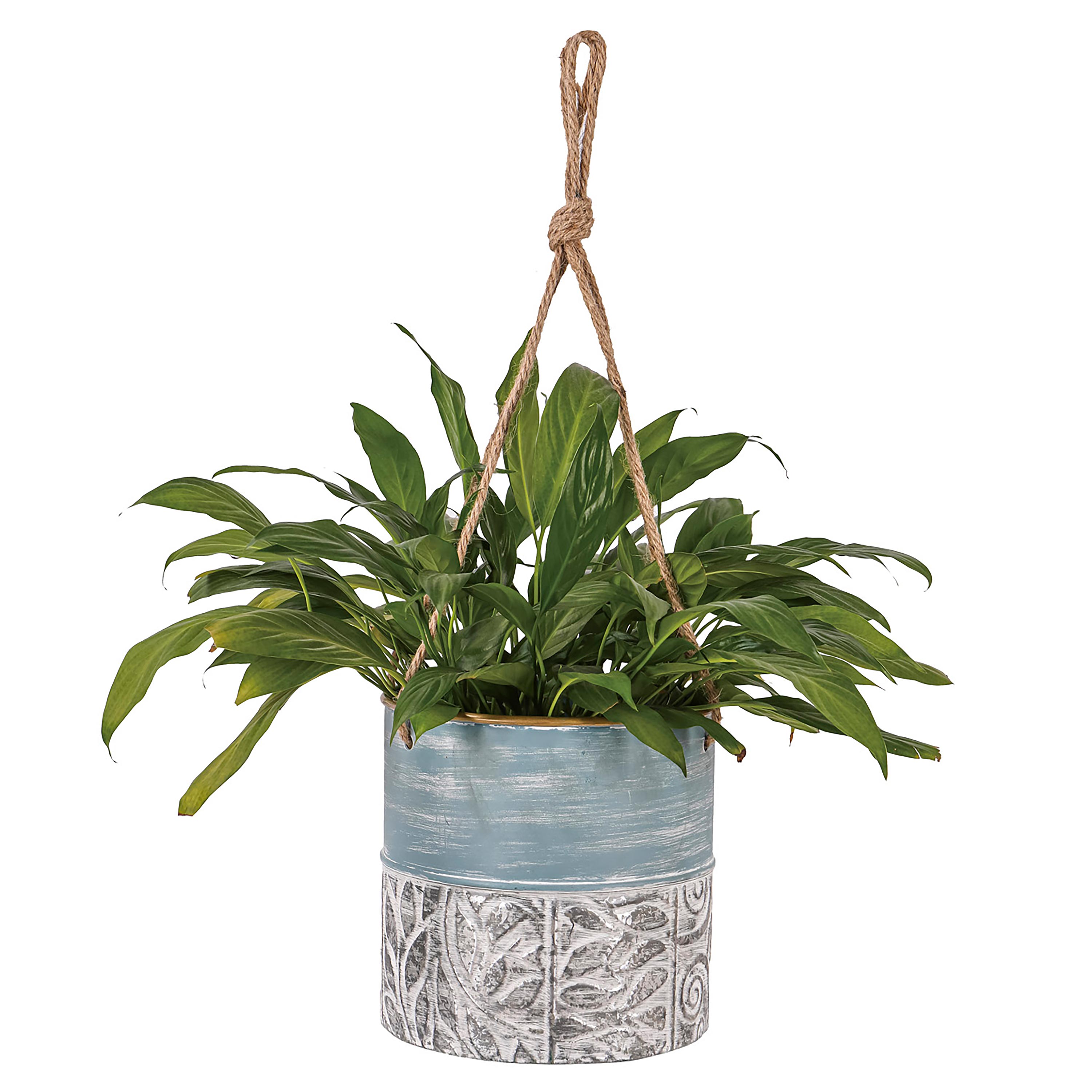 Evergreen 8PMTL5251 Planter-Window-Box - View #4