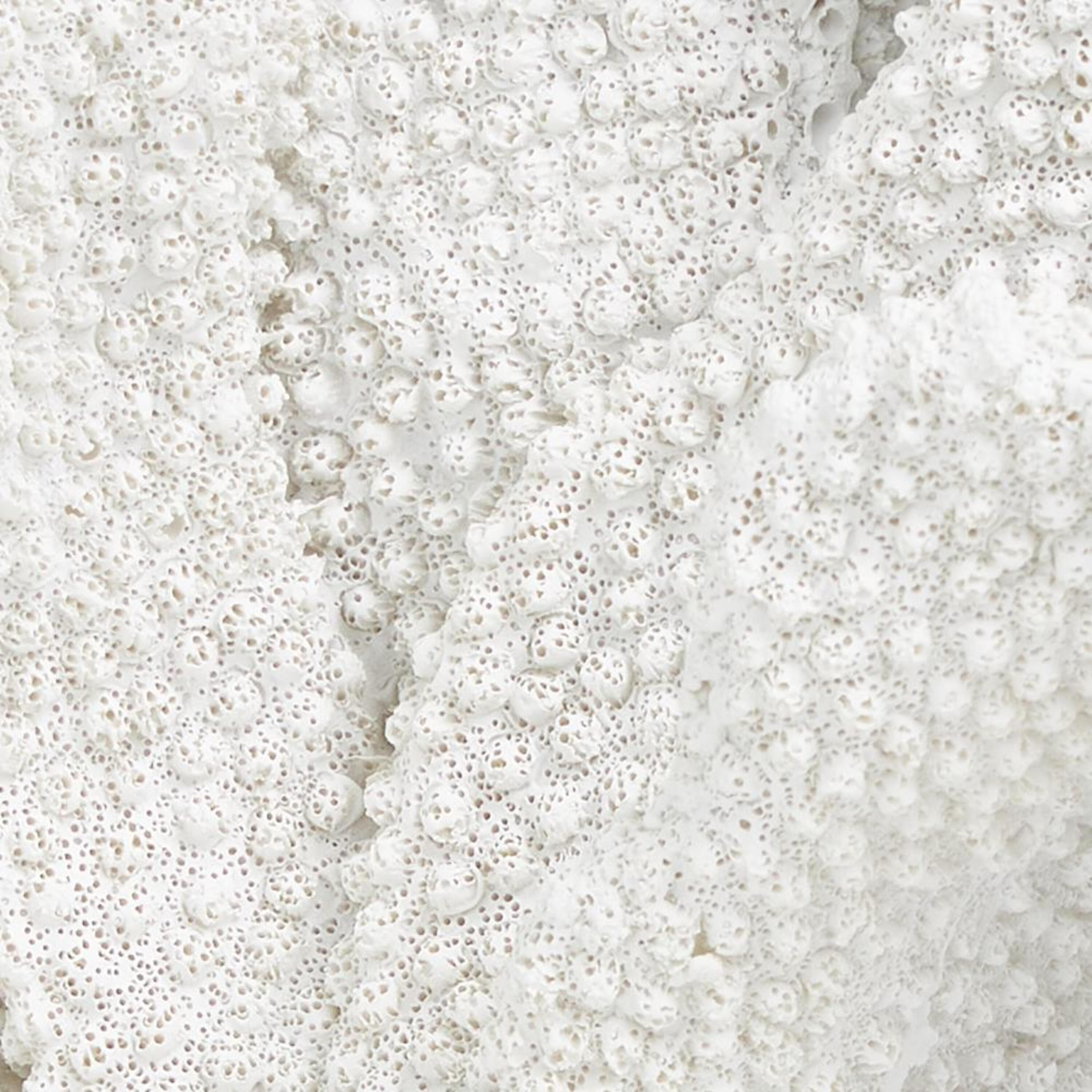 Grayson Lane 820673 Decorative-Accessories - View #7