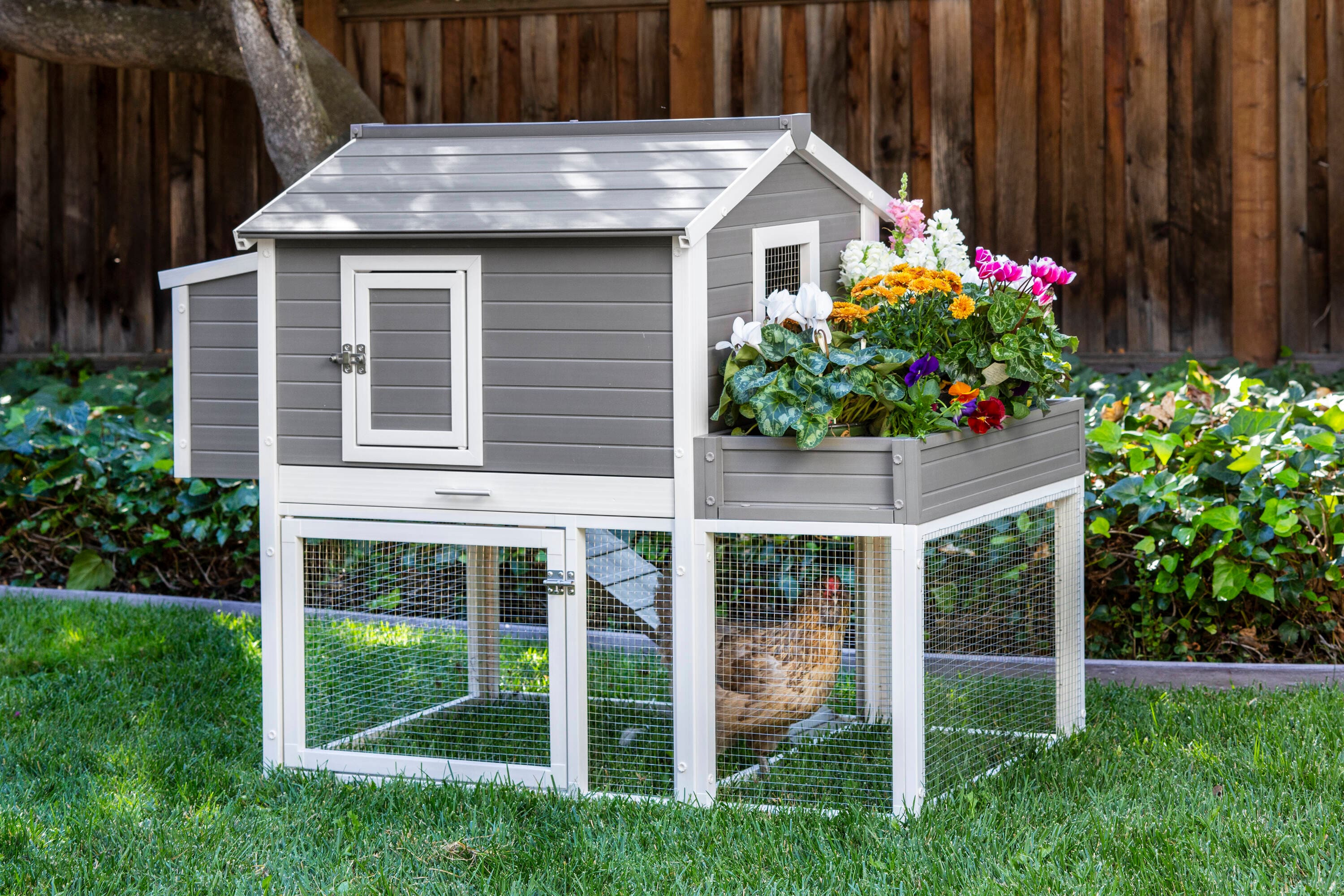 New Age Pet Gray Composite Chicken Coop in the Chicken Coops & Rabbit ...