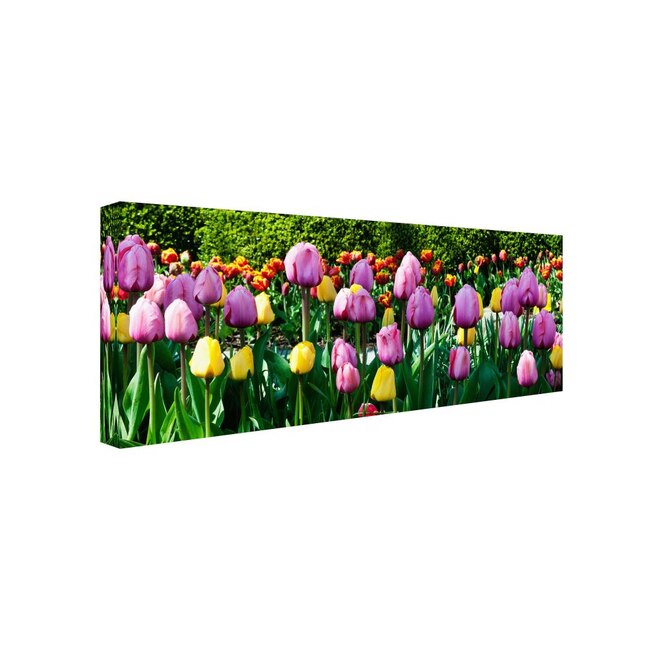 Trademark Fine Art Framed 20-in H x 47-in W Floral Print on Canvas in ...