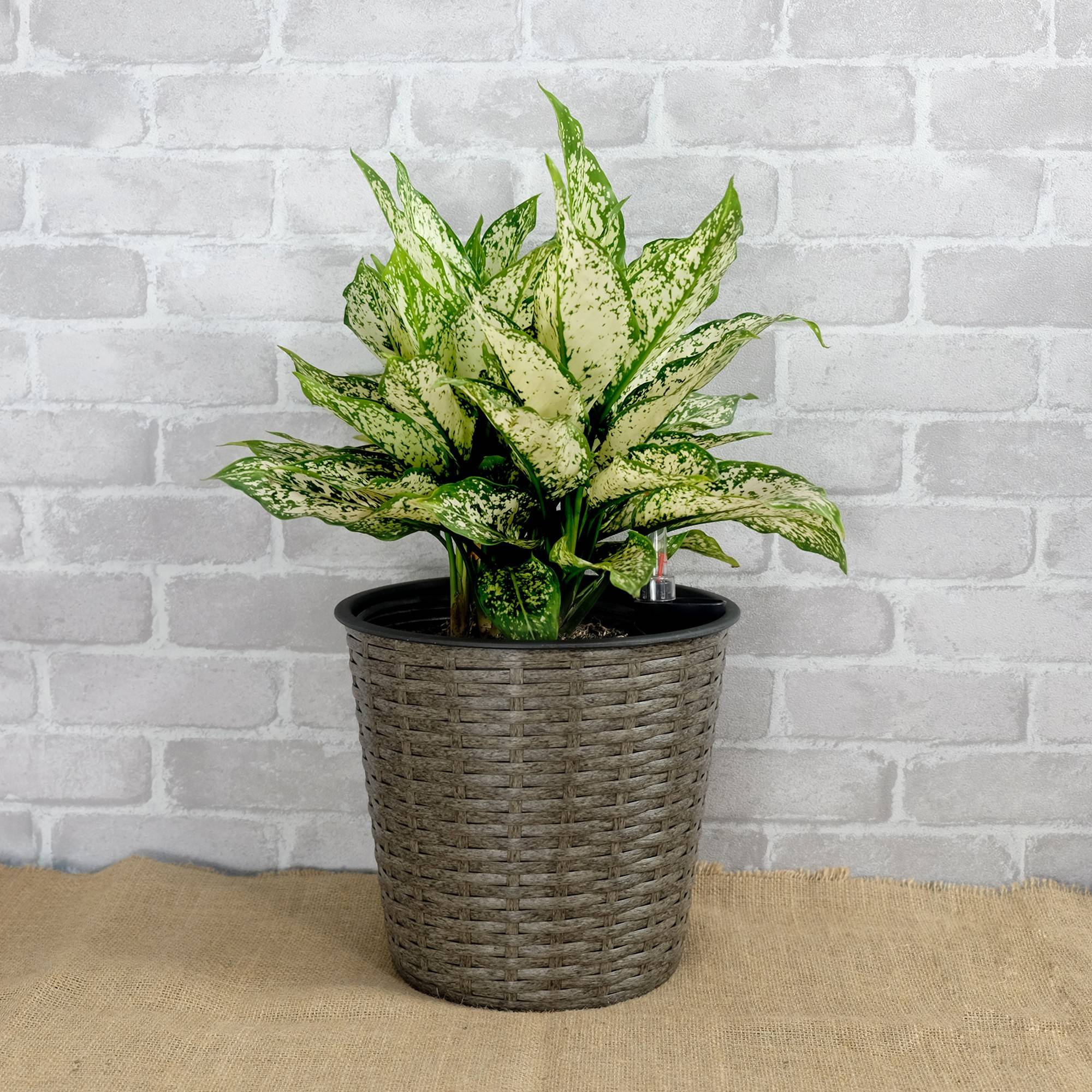 Yiekholo LL-1674AA Planter-Window-Box - View #2