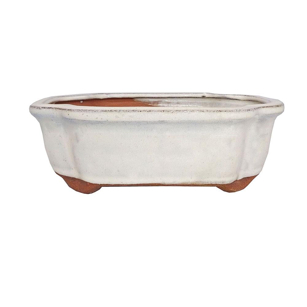 Brussel's Bonsai CGI4-8NCM 2.0-in W x 2-in H x 2-in D Off-white Ceramic Planter