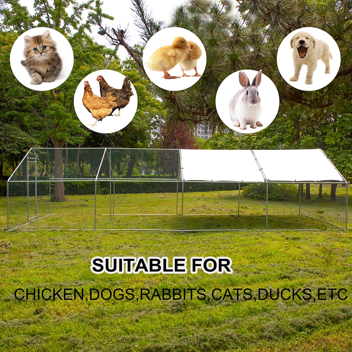 Gaierptone B230517-12 Chicken-Coops-Rabbit-Hutches - View #3
