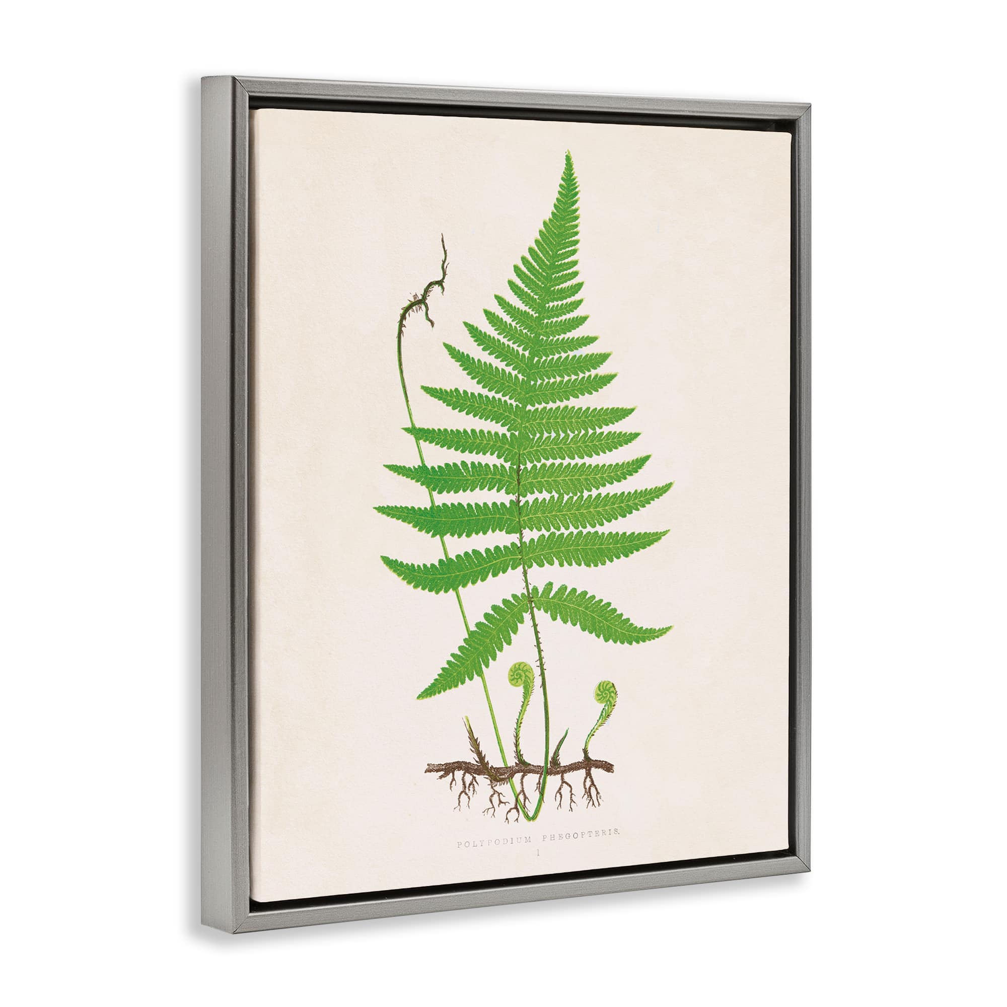 Stupell Industries BT-469-FFL-24X30 Wall-Art - View #2