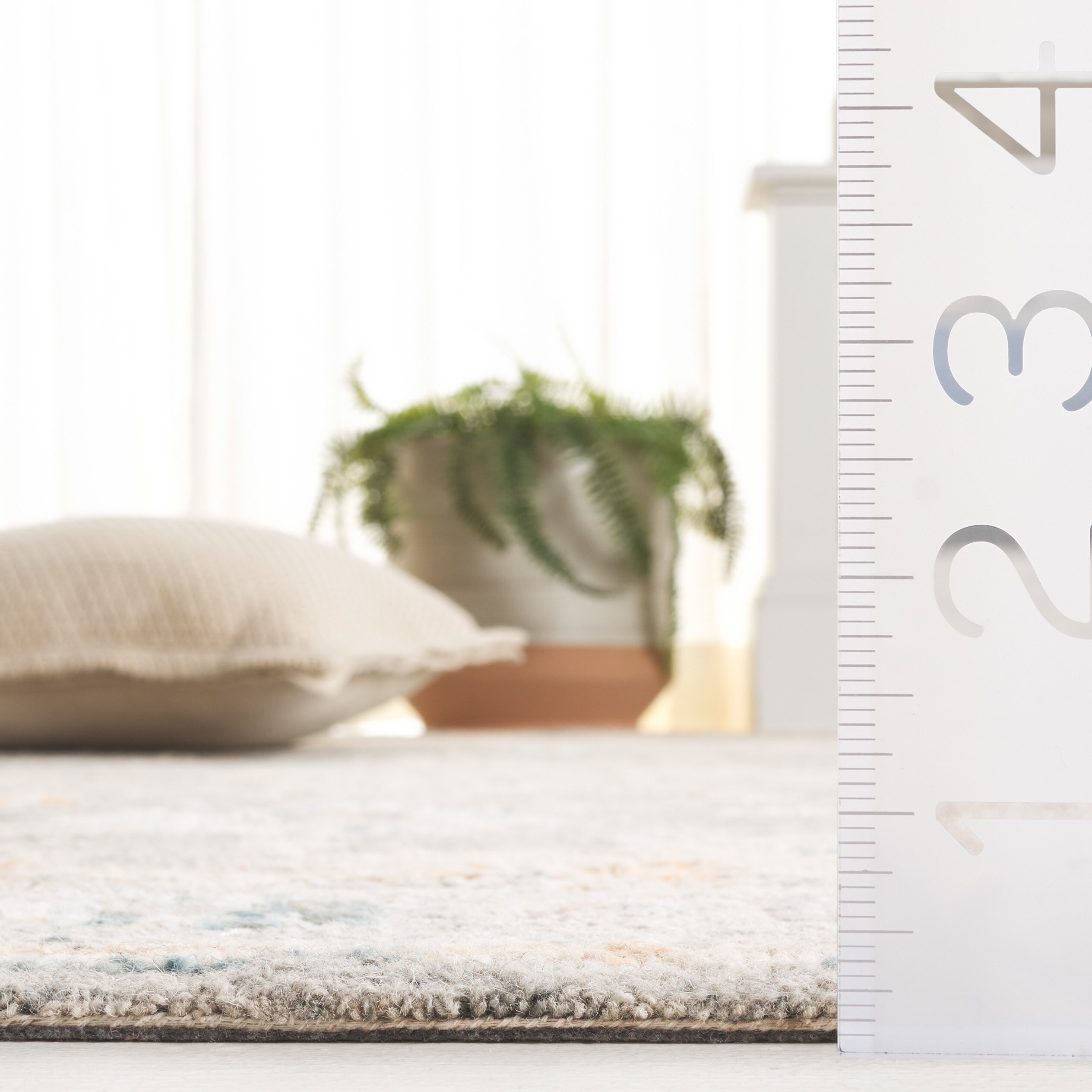 Safavieh AN301F-4 rugs - View #5