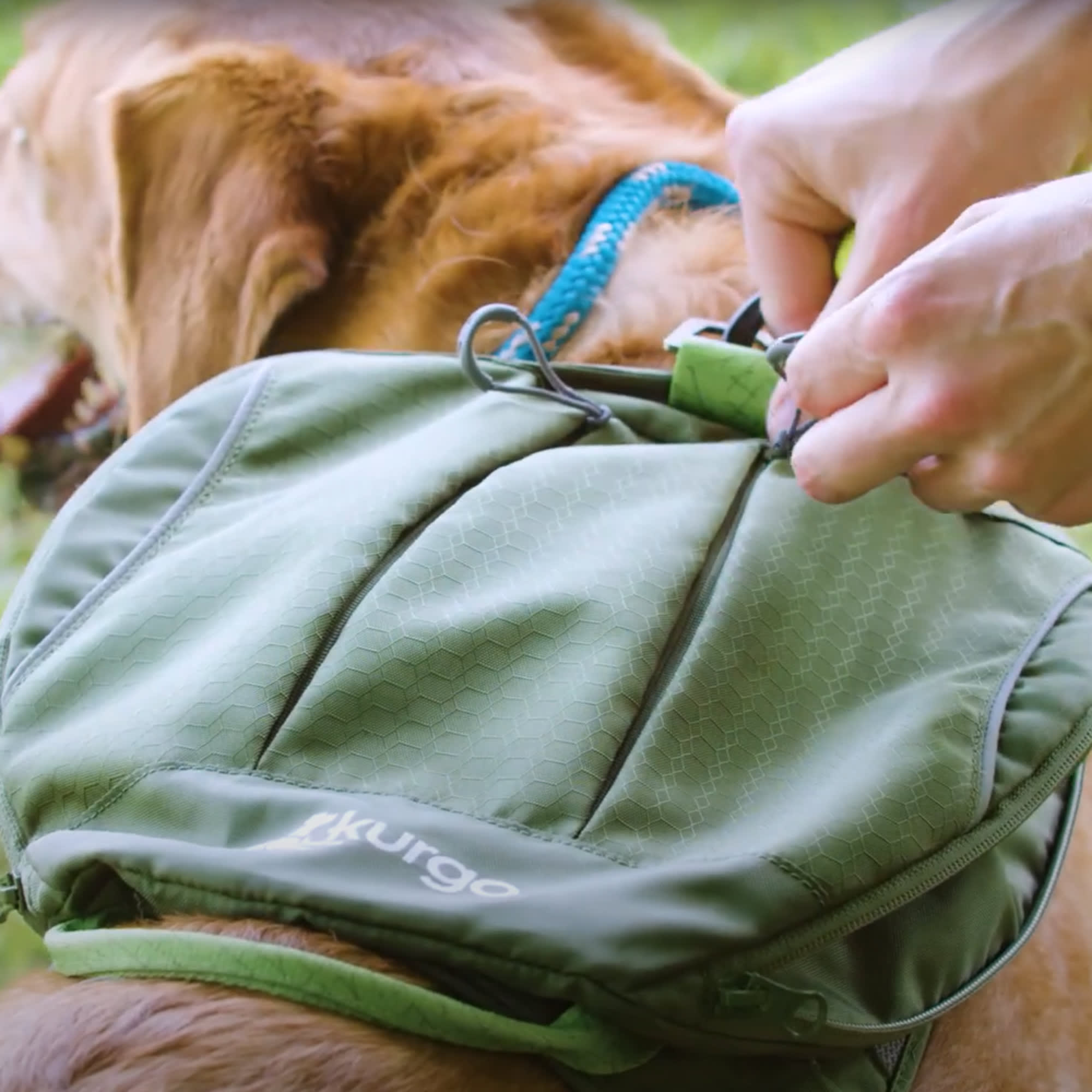Kurgo POG30-17632 Pet-Travel-Accessories - View #2