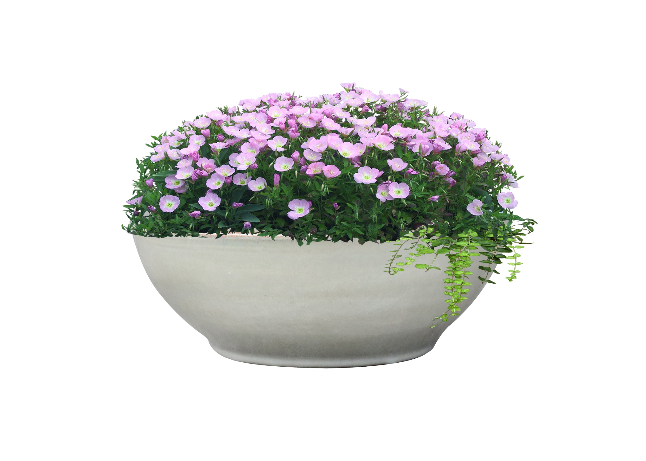 allen + roth GO2025-105 Planter-Window-Box - View #2