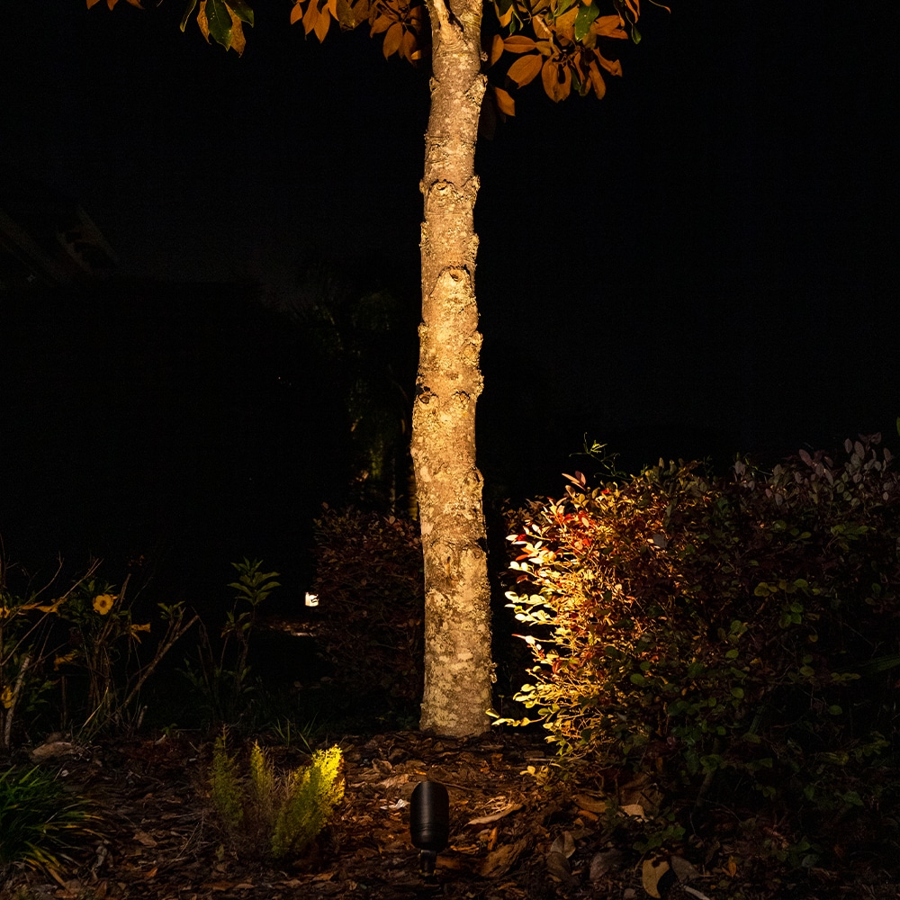 VOLT LOWAL-2100-4-BBZ Spot-Lights - View #7