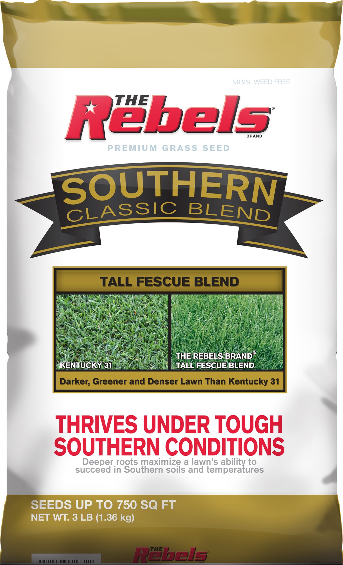 Rebel 2149601031 Southern Classic 3-lbs. Tall fescue Grass Seed