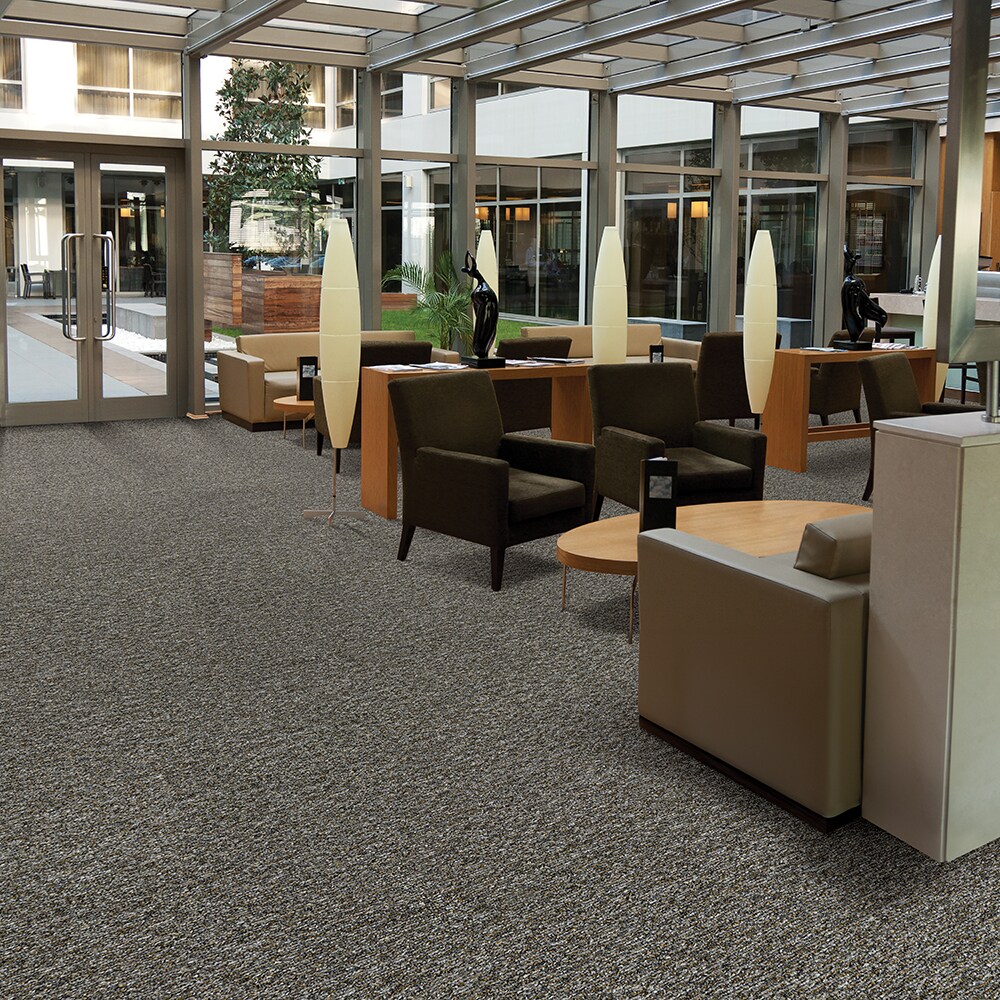  LC79-12-L004 Carpet-Panel - View #2