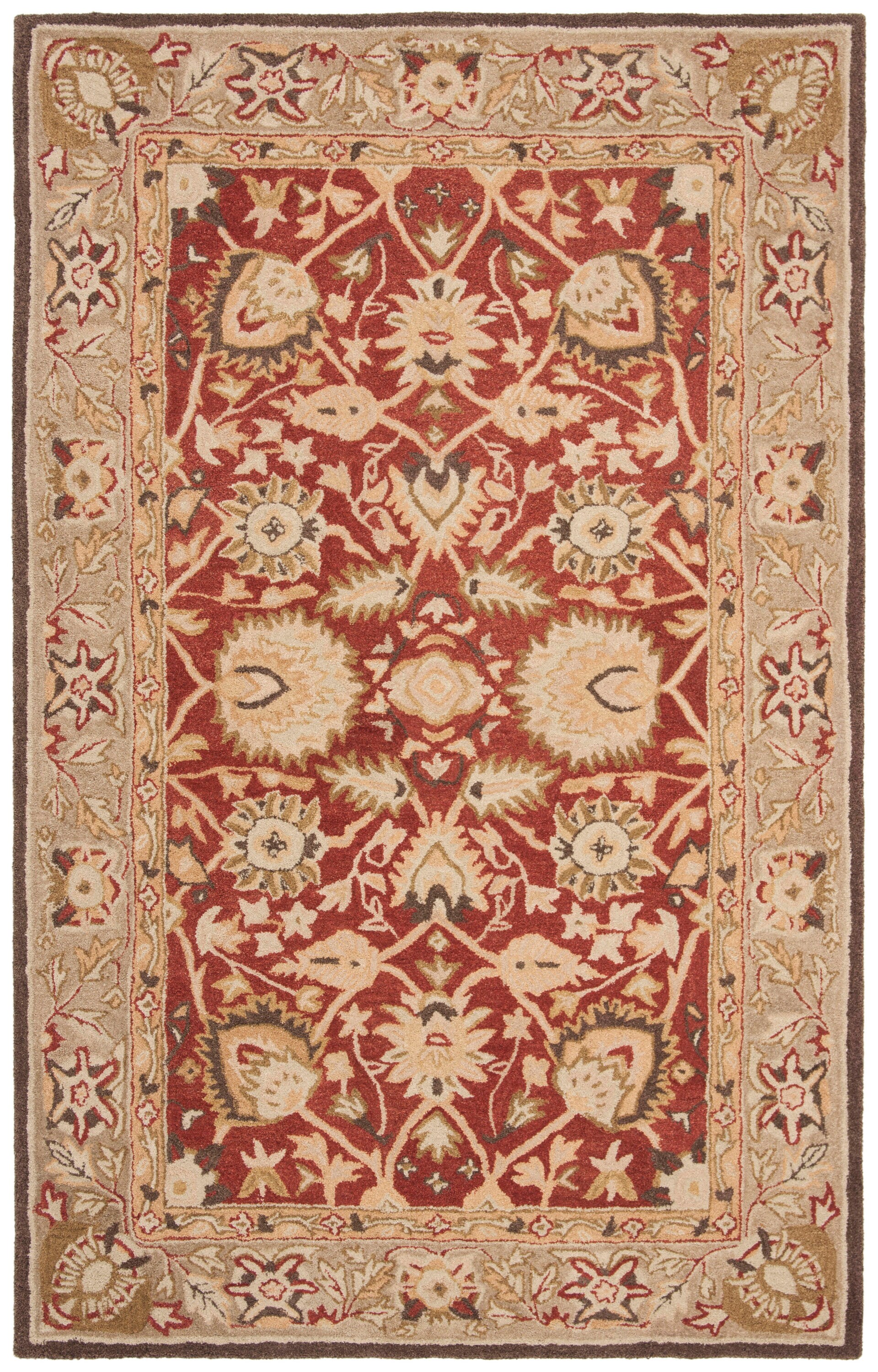 Safavieh AN512G-4 rugs - View #2