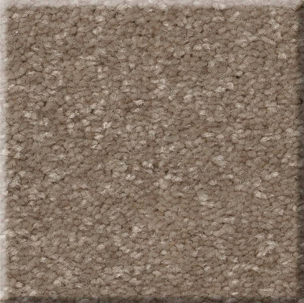 STAINMASTER 7L86300113 Best Intentions II 12-FT Cameo Brown 53.6-oz sq yard Polyester Textured Indoor Carpet
