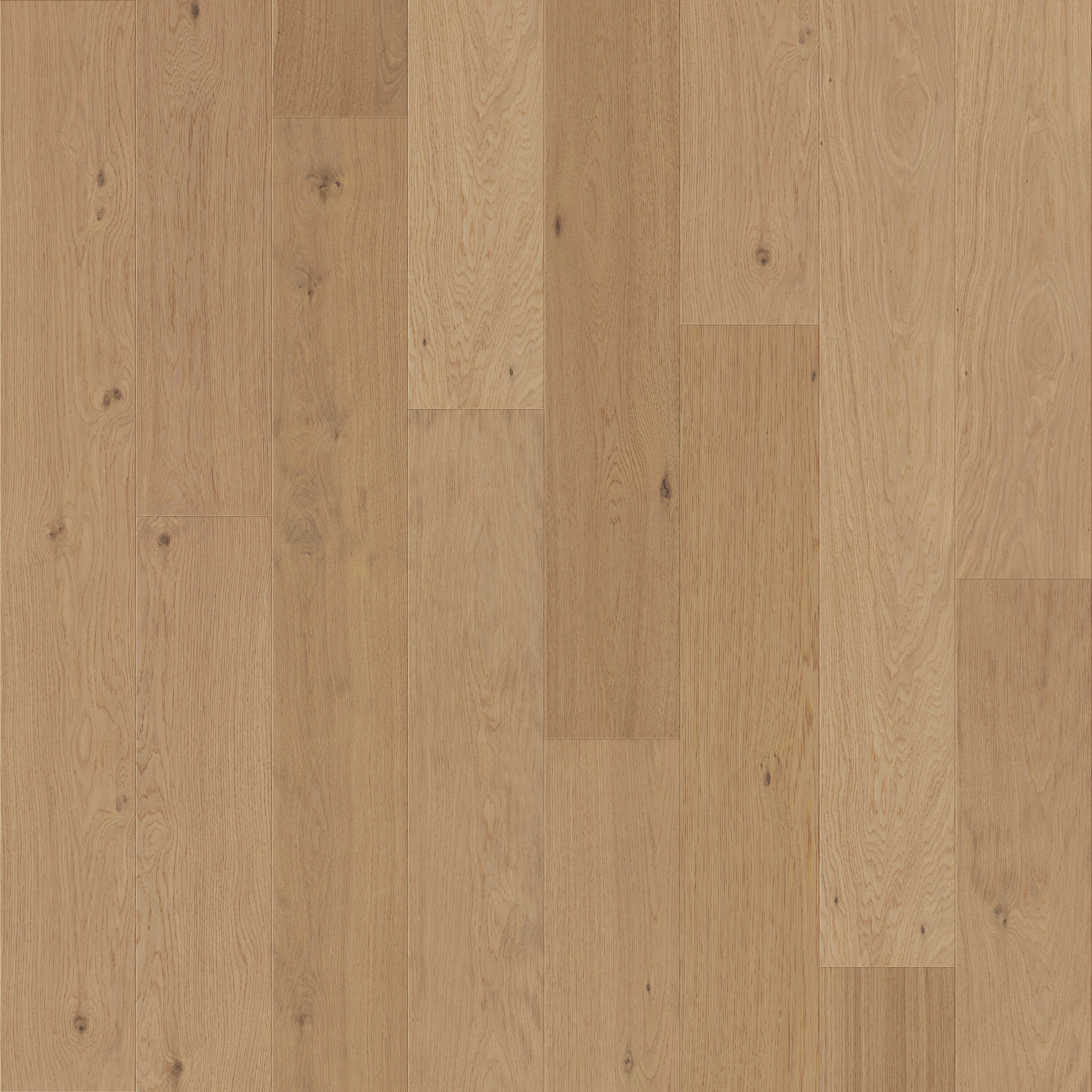 allen + roth EK9A708W Lakeview Superior Wirebrushed Oak 1/2-in T x 9-1/2-in W Wirebrushed Engineered Hardwood Flooring ( 34.1-sq ft / Carton )