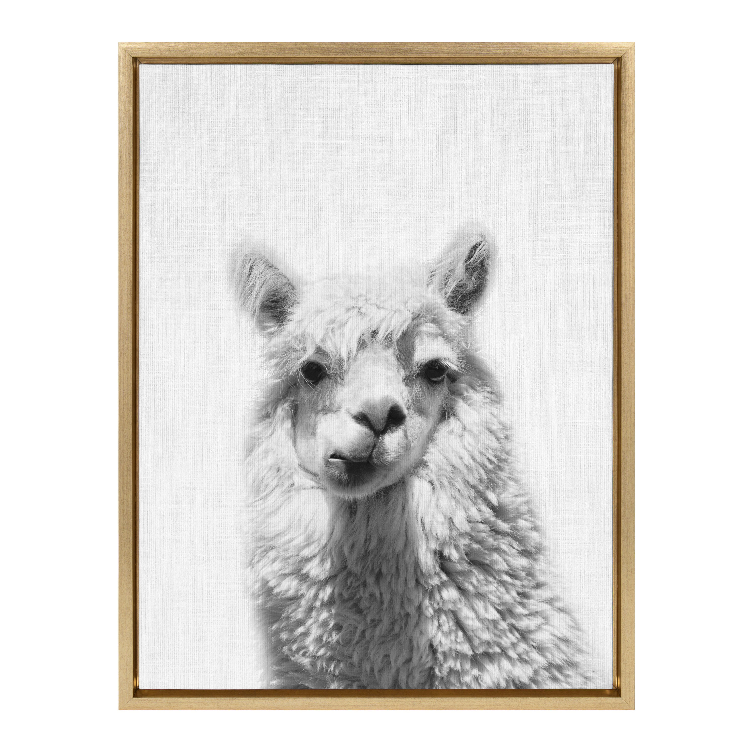 Kate and Laurel 217551 Alpaca Portrait Tai Prints Gold Plastic Framed 24-Inches H x 18-Inches W Animals Canvas Print