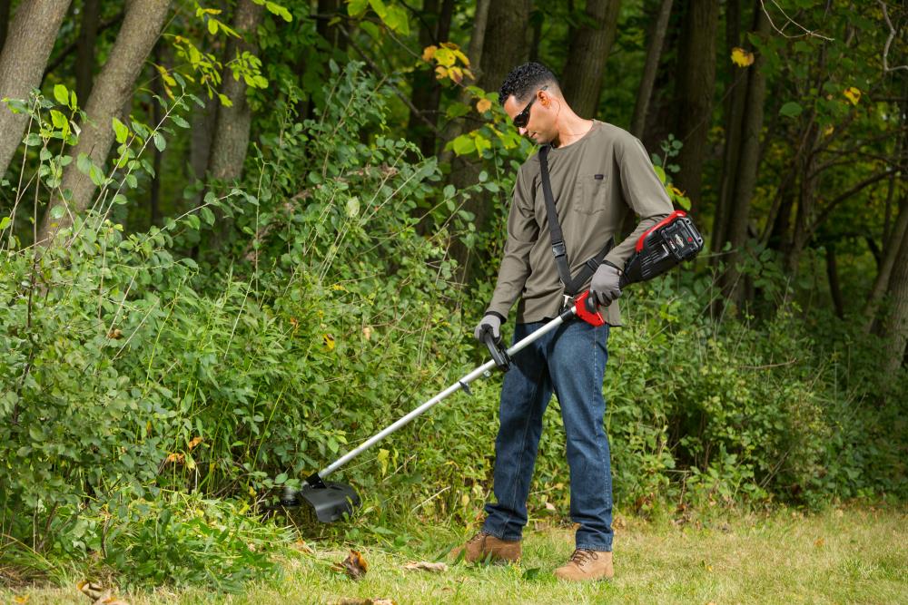 Snapper brush online cutter