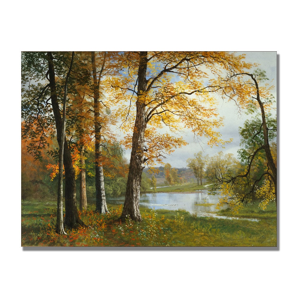 Trademark Fine Art BL0953-C3547GG Wall-Art - View #2