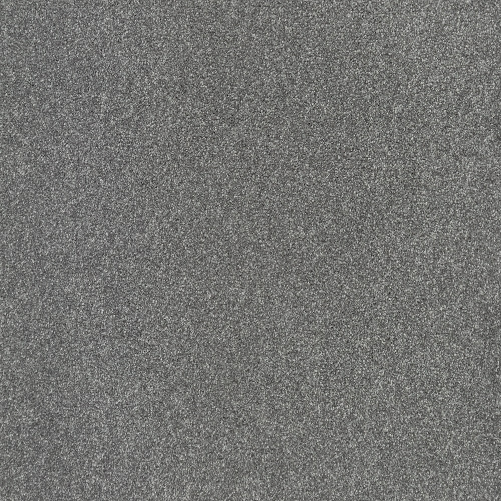 STAINMASTER Durable Step II Bay Waves Textured Indoor Carpet in the ...