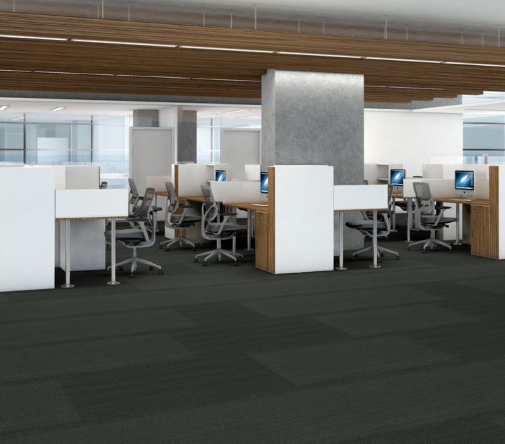 Shaw 7P0UW00510 Carpet-Tile - View #10