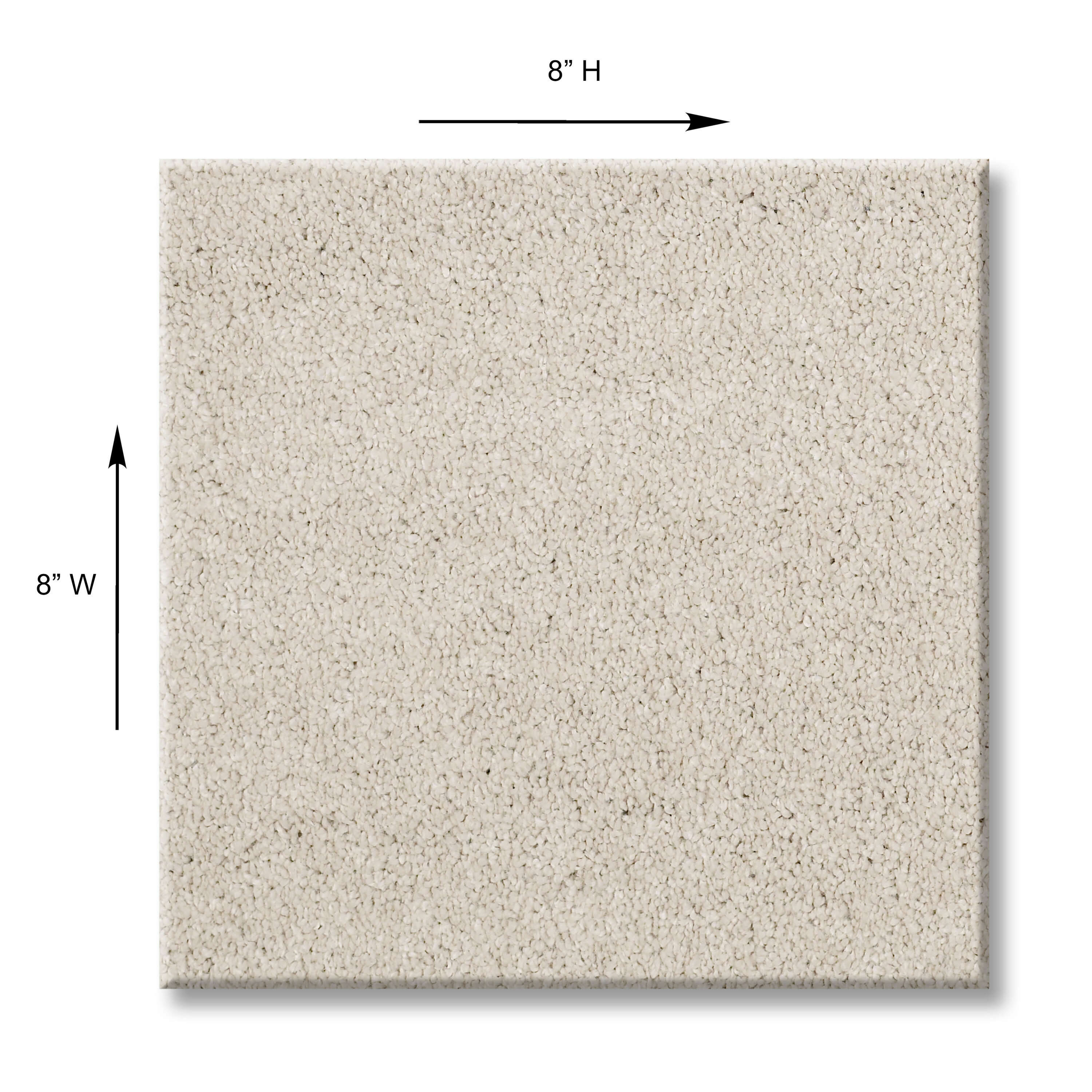 STAINMASTER 7L793-122-SAMP Carpet-Samples - View #8