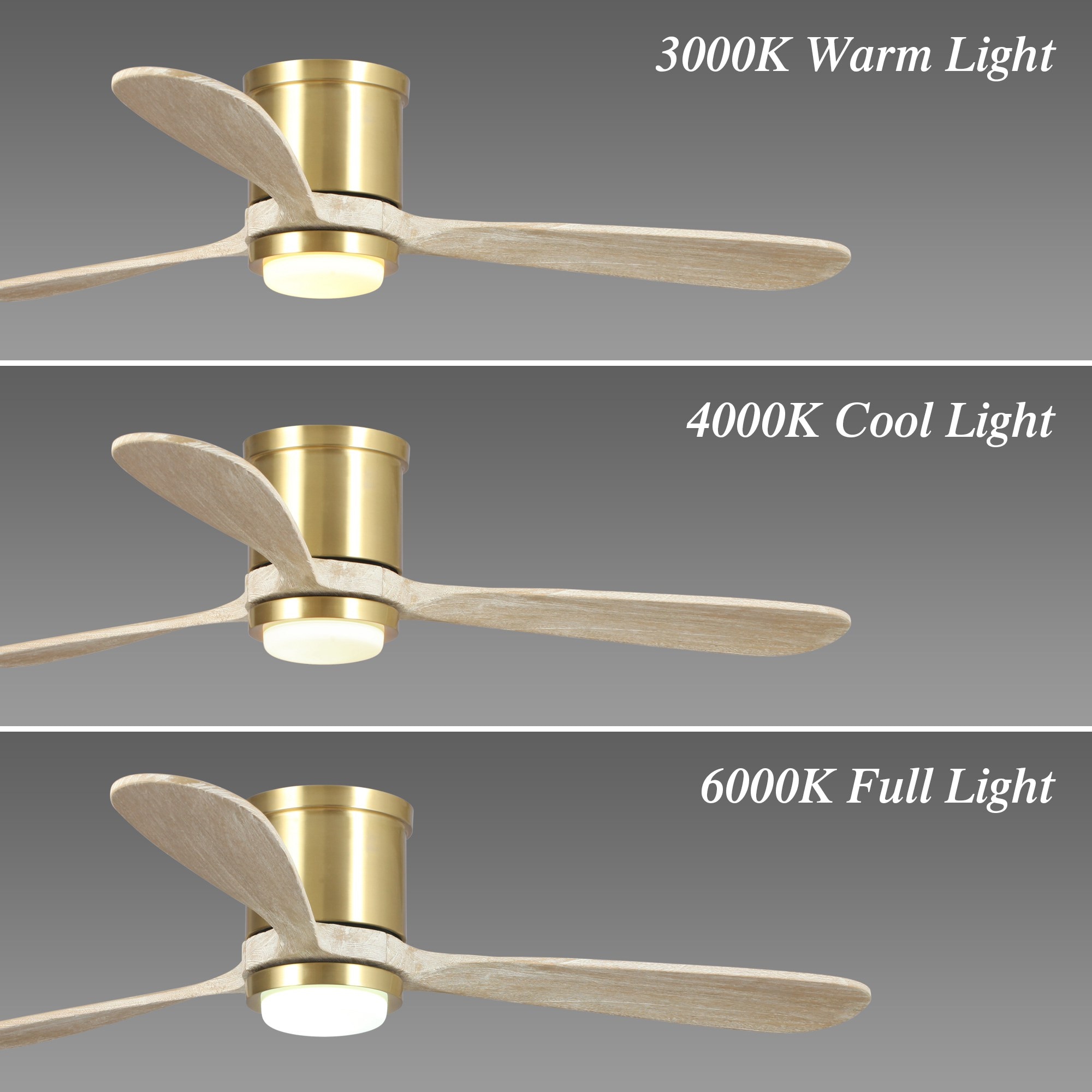 Parrot Uncle BB530173SQ Ceiling-Fans - View #7