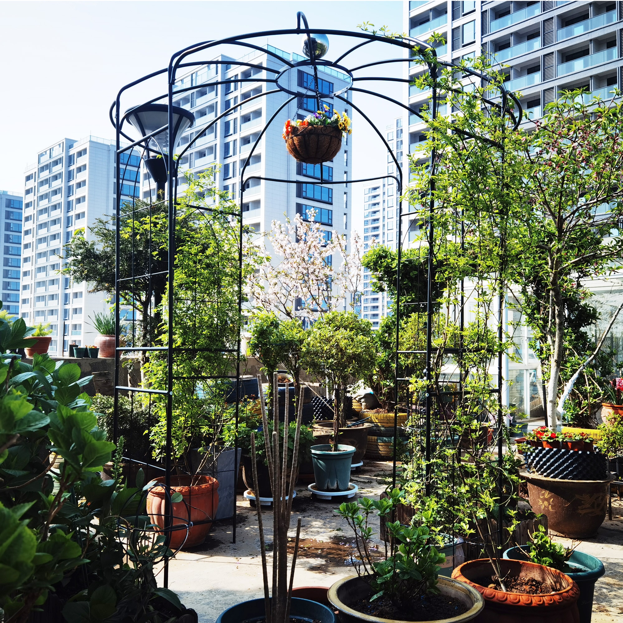 Damerin ZLY-19F Garden-Trellis - View #4