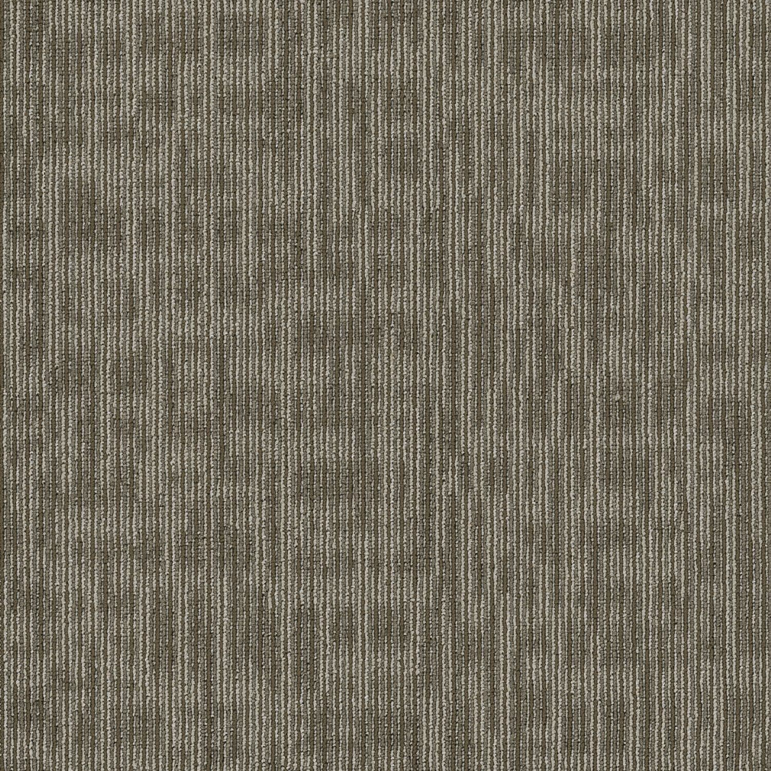 Shaw 7L80944705 Carpet-Tile - View #12