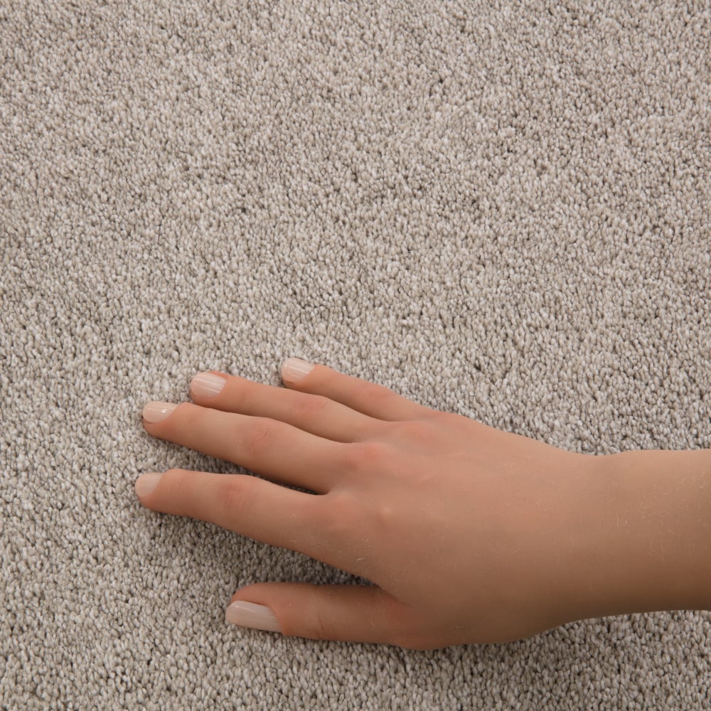 STAINMASTER PetProtect 7L938-124-SAMP Carpet-Samples - View #4