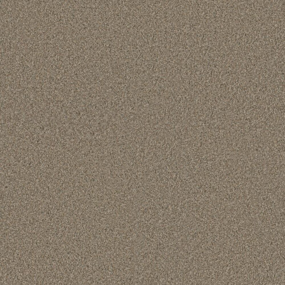 STAINMASTER S8764-738-S (Sample) Concerto Symphony Multi-Colored 64-oz sq yard Polyester Textured Indoor Carpet